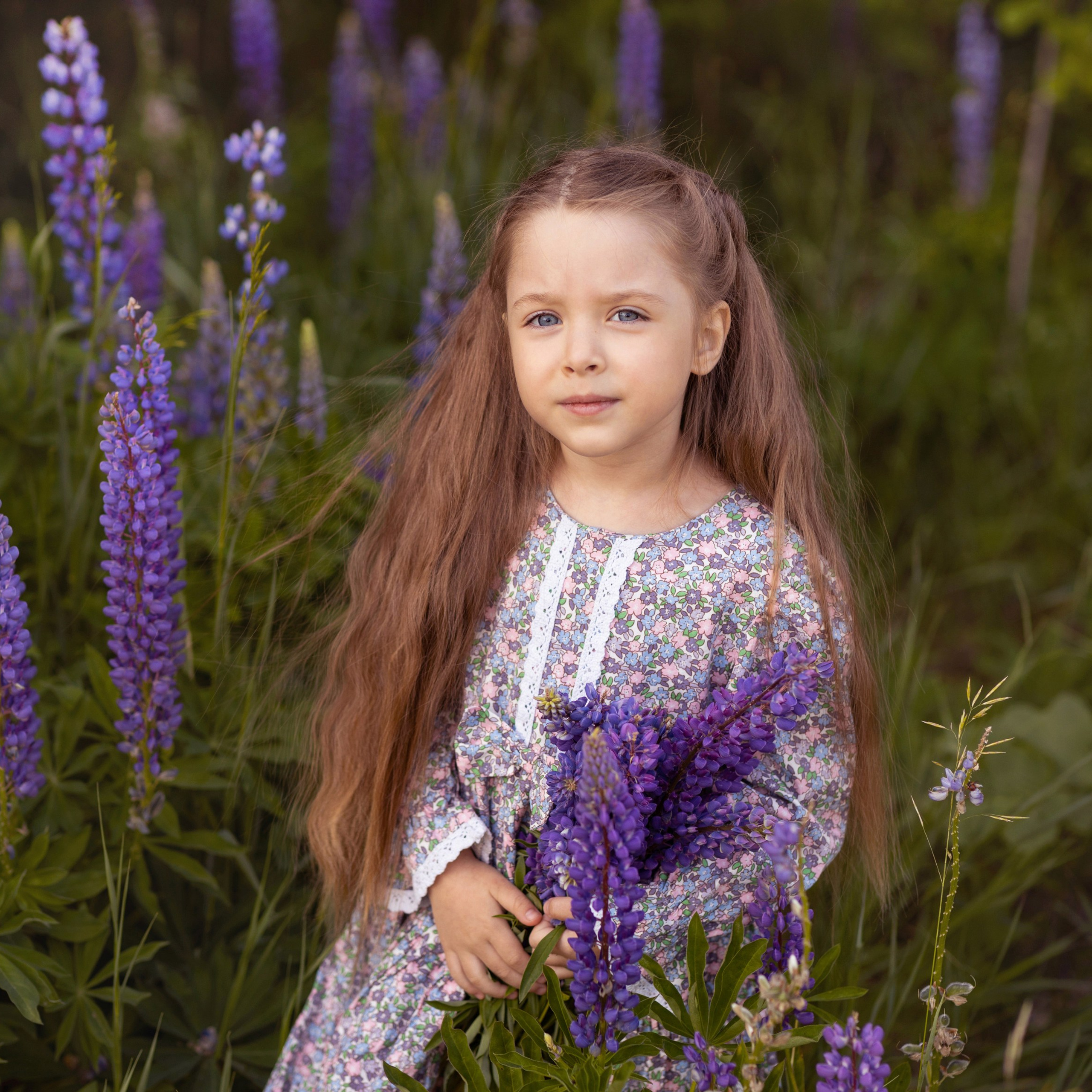 Поля в люпинах. Женский и семейный фотограф в Тюмени Пашнина Ольга