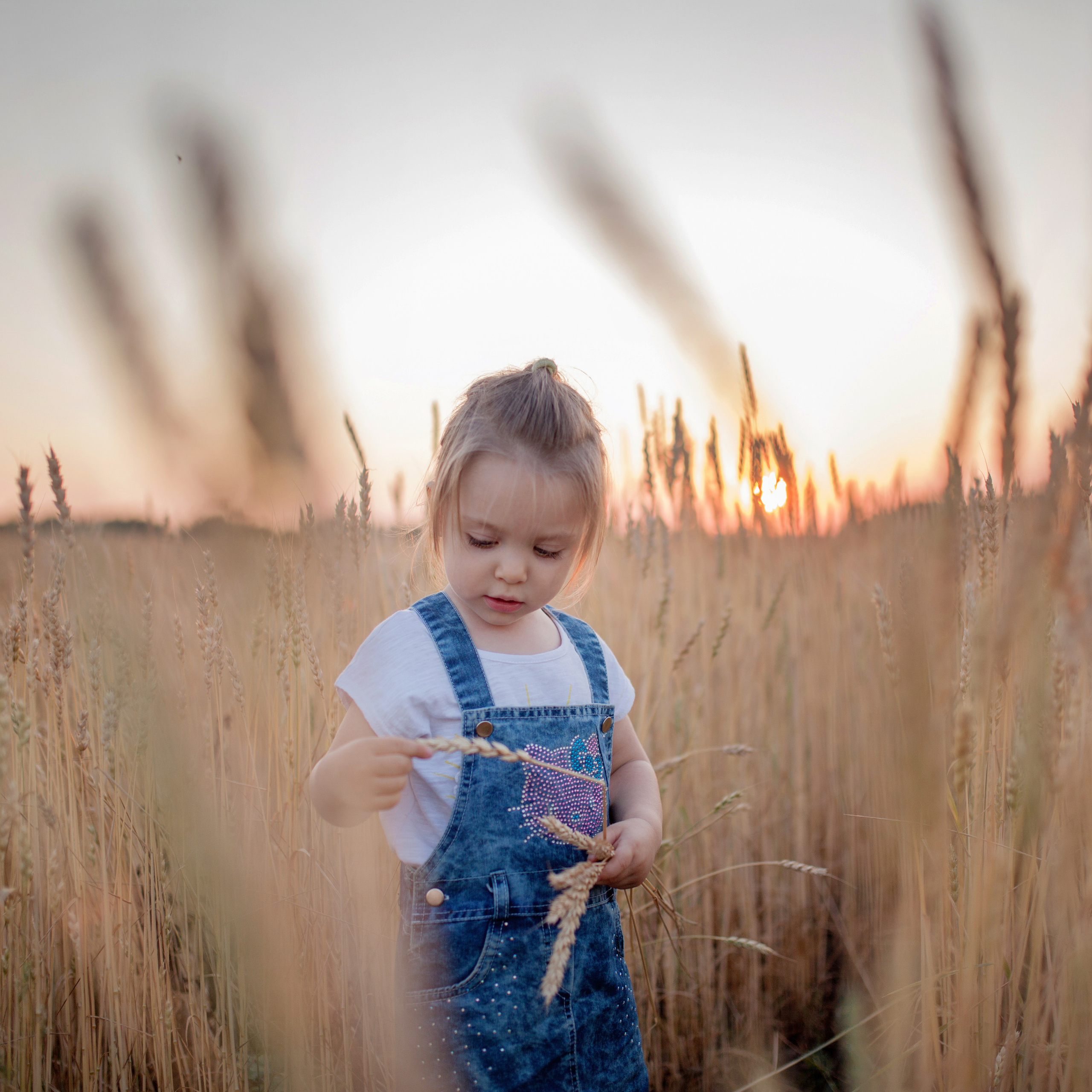 В пшенице. Женский и семейный фотограф в Тюмени Пашнина Ольга