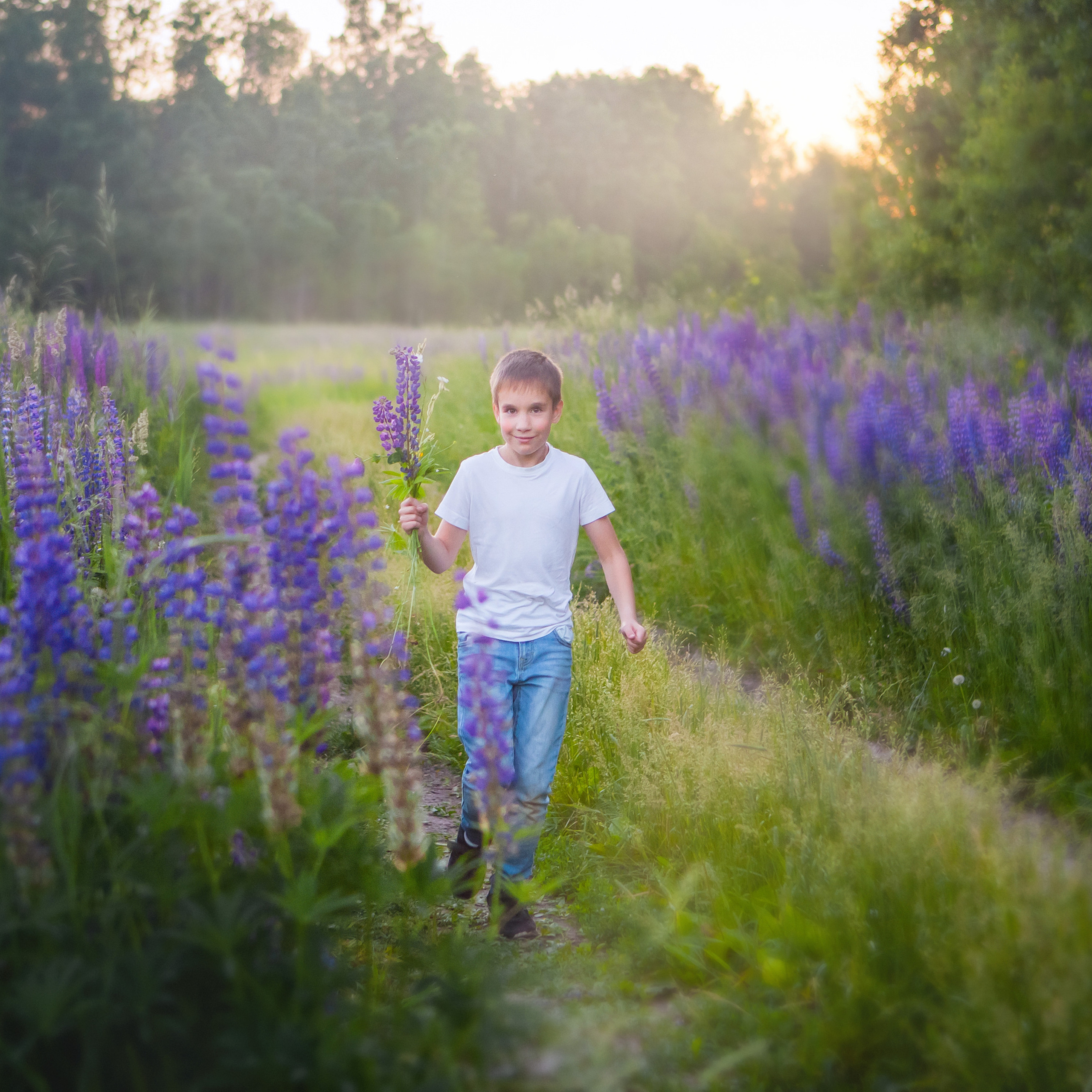 В люпинах. Женский и семейный фотограф в Тюмени Пашнина Ольга