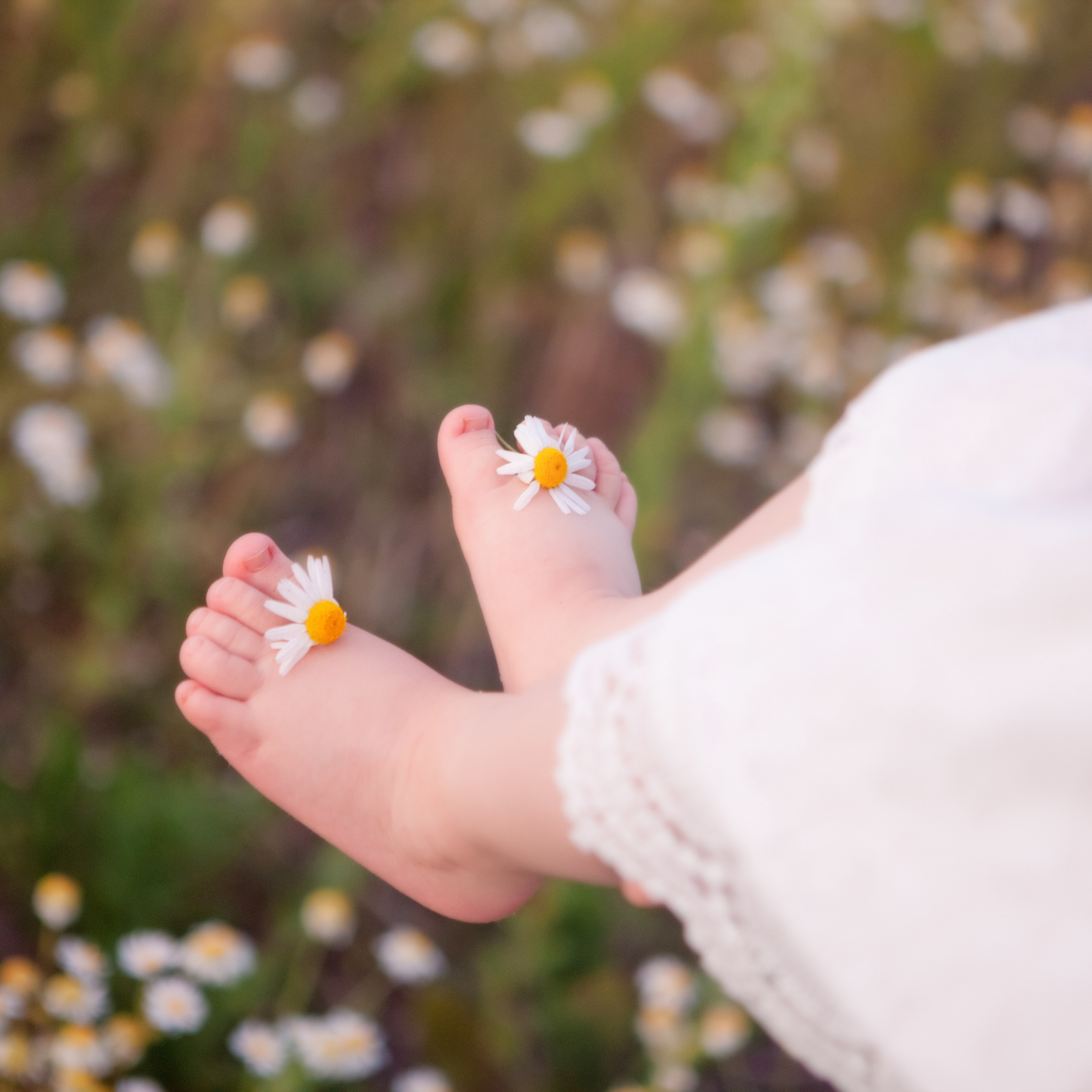 В ромашках. Женский и семейный фотограф в Тюмени Пашнина Ольга