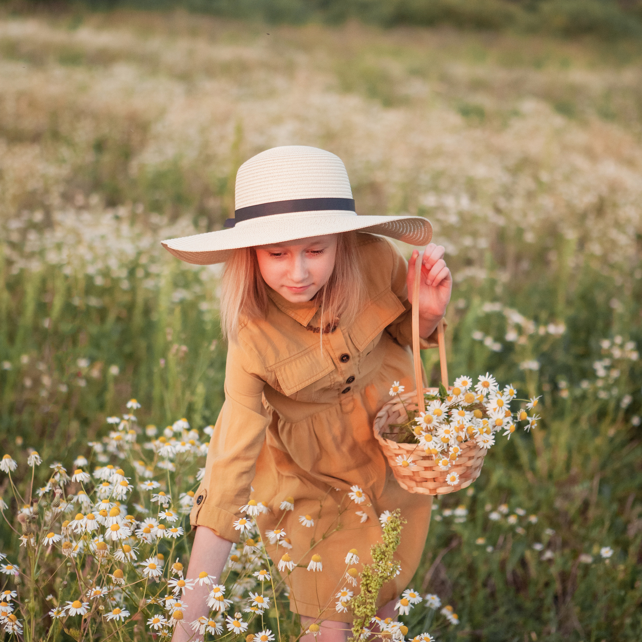 В ромашках. Женский и семейный фотограф в Тюмени Пашнина Ольга