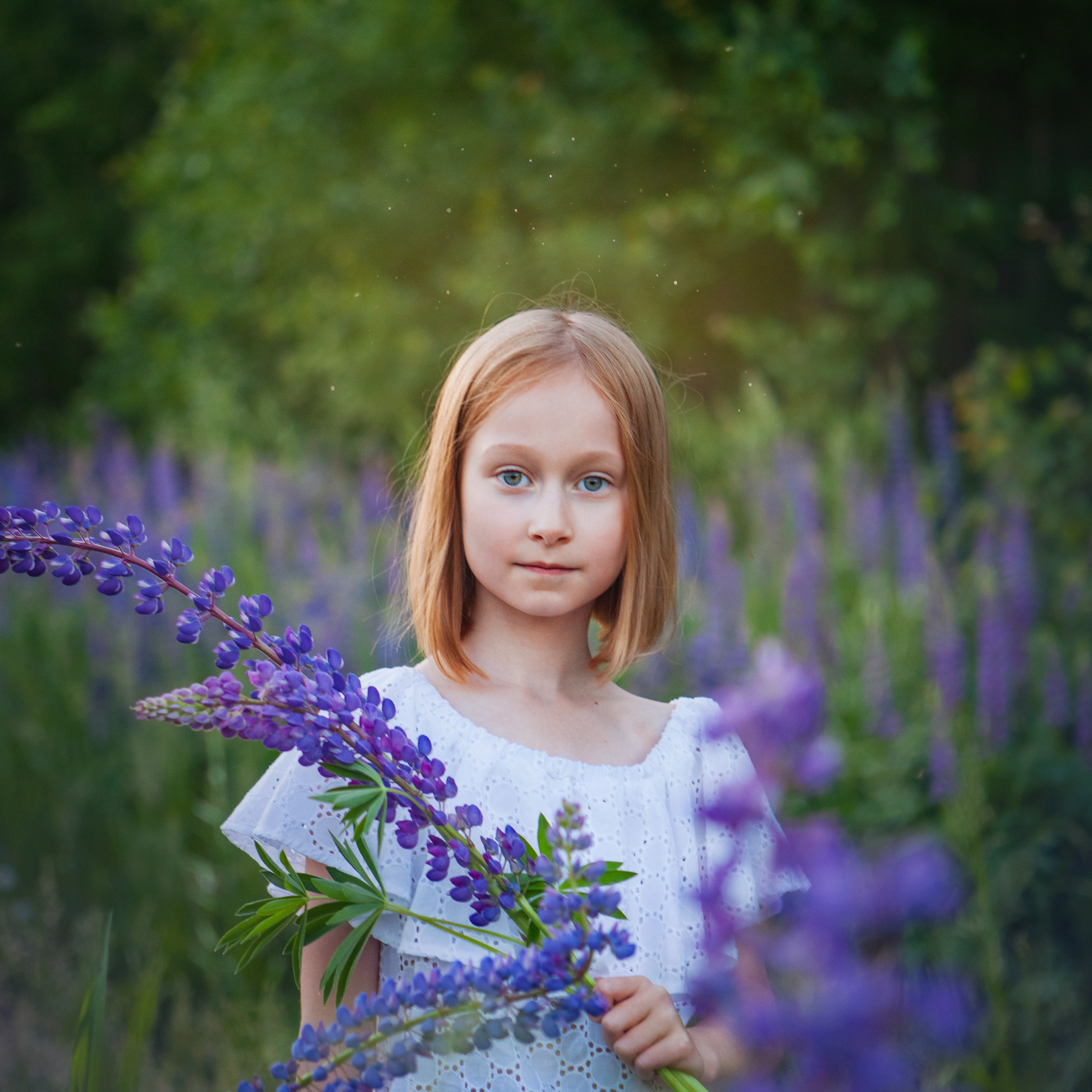 В люпинах. Женский и семейный фотограф в Тюмени Пашнина Ольга