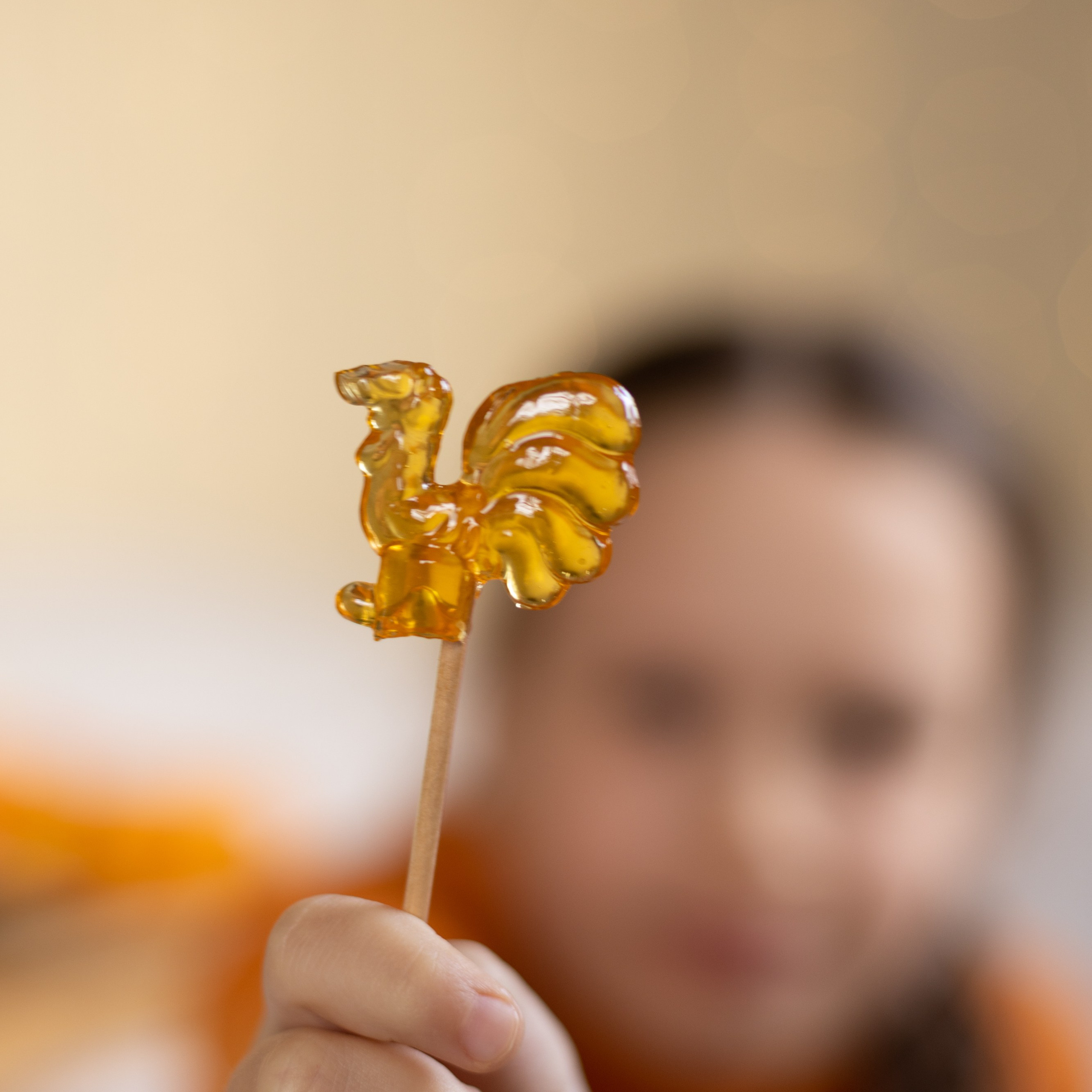 Загородный дом. Женский и семейный фотограф в Тюмени Пашнина Ольга