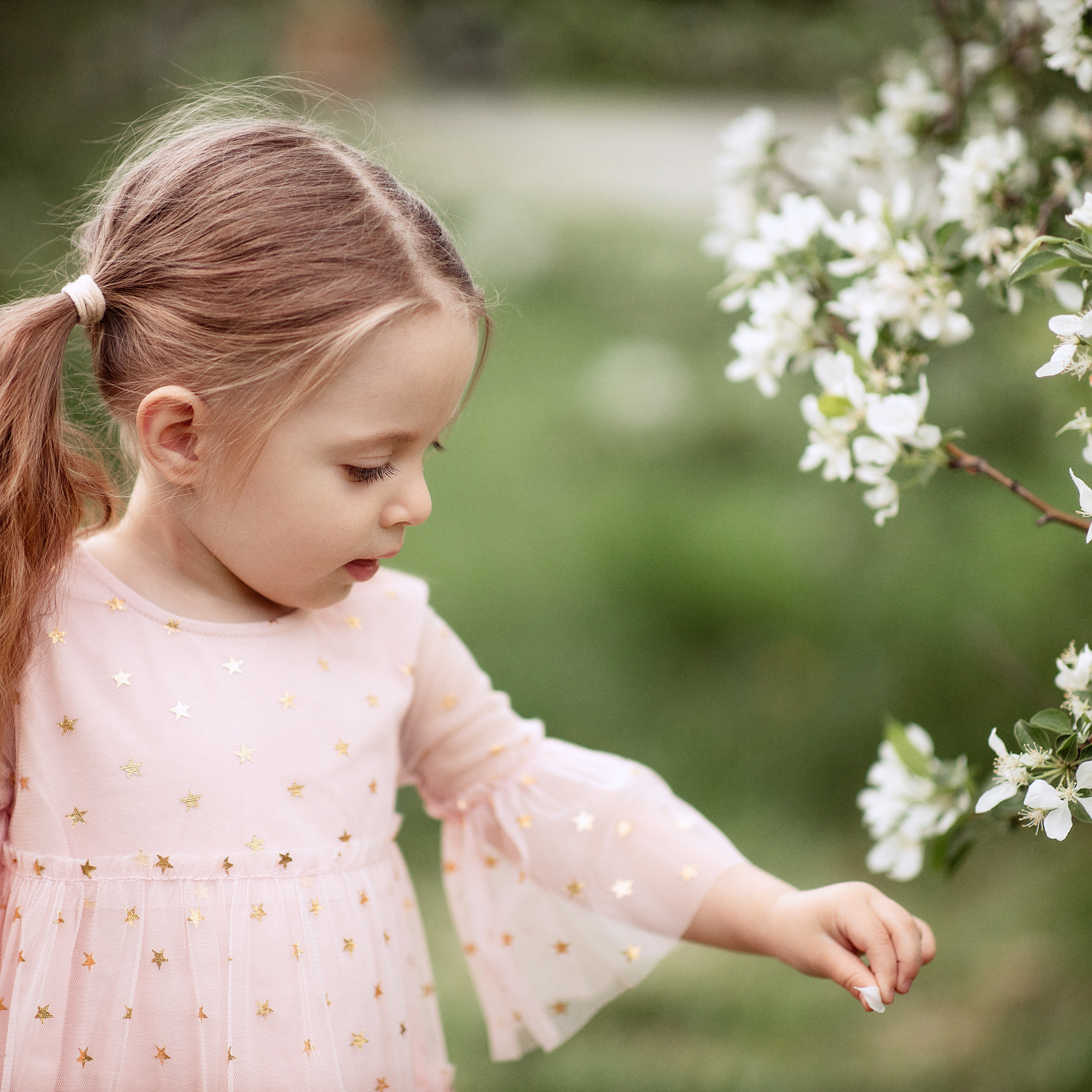 Яблоньки. Женский и семейный фотограф в Тюмени Пашнина Ольга