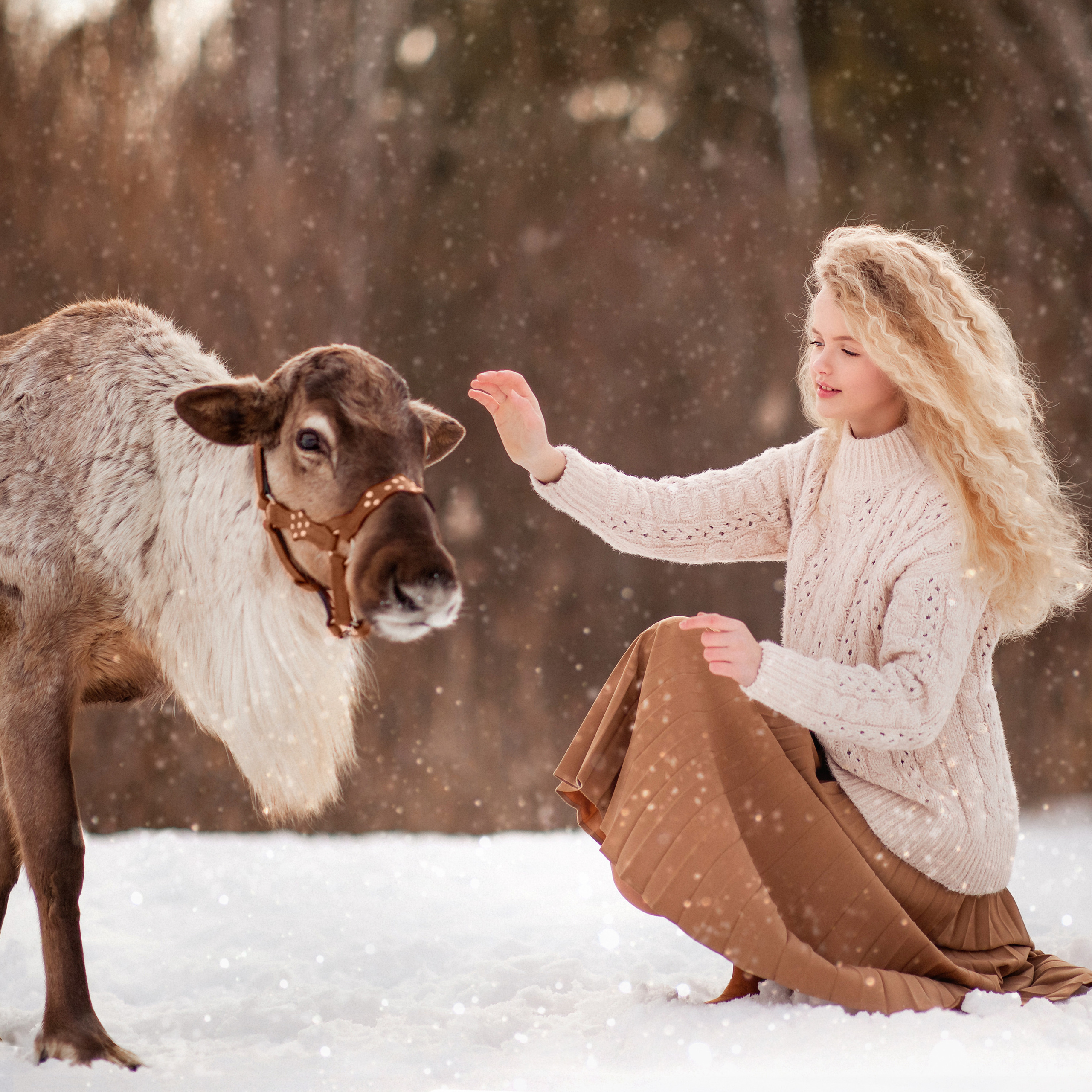 Тая и Барон. Женский и семейный фотограф в Тюмени Пашнина Ольга
