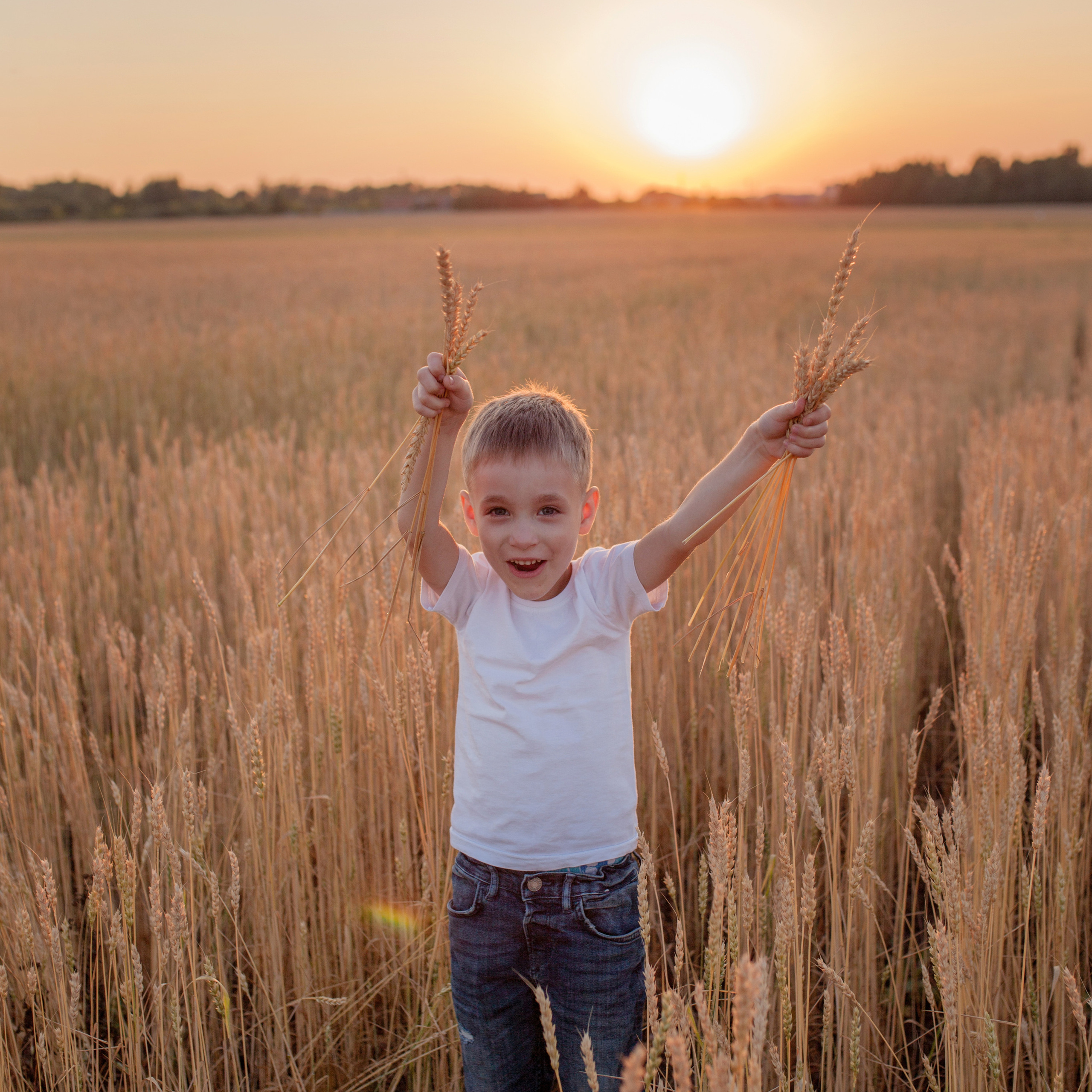 В пшенице. Женский и семейный фотограф в Тюмени Пашнина Ольга