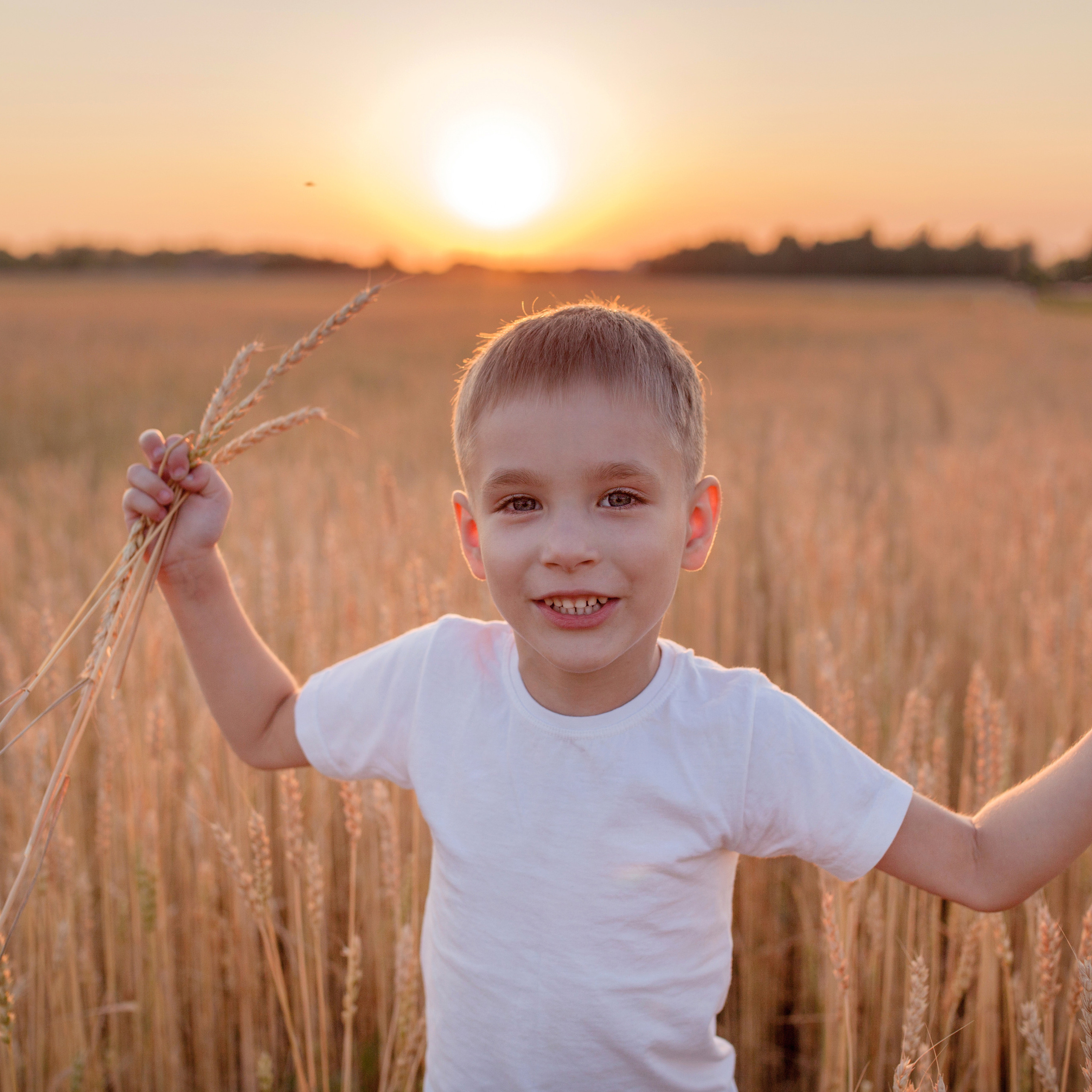 В пшенице. Женский и семейный фотограф в Тюмени Пашнина Ольга
