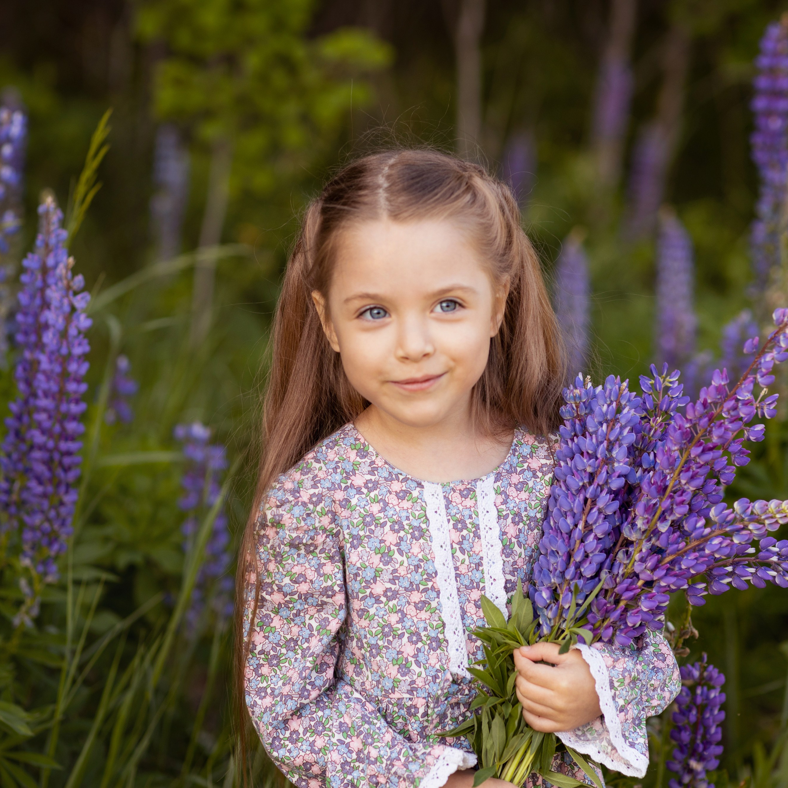 Поля в люпинах. Женский и семейный фотограф в Тюмени Пашнина Ольга