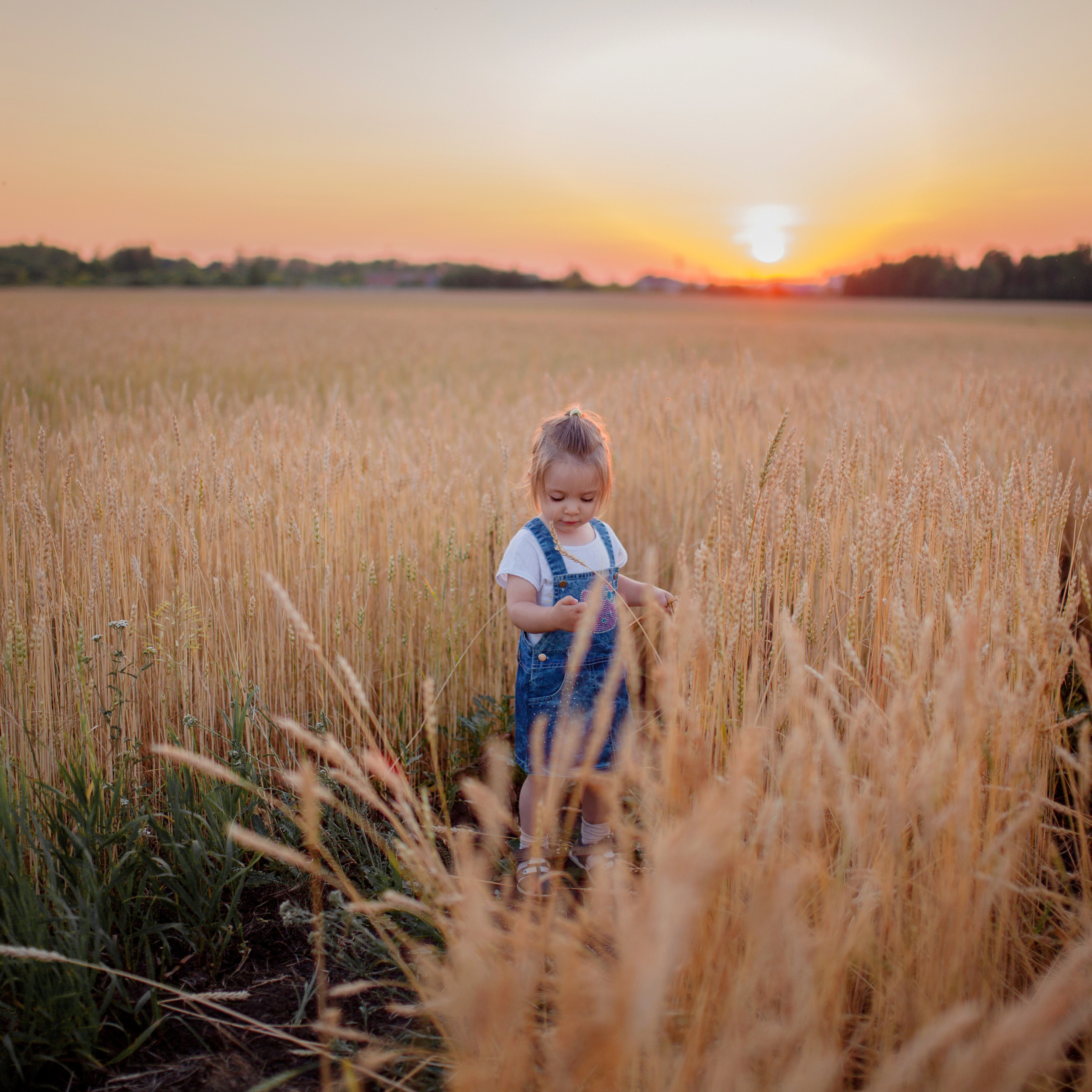 В пшенице. Женский и семейный фотограф в Тюмени Пашнина Ольга