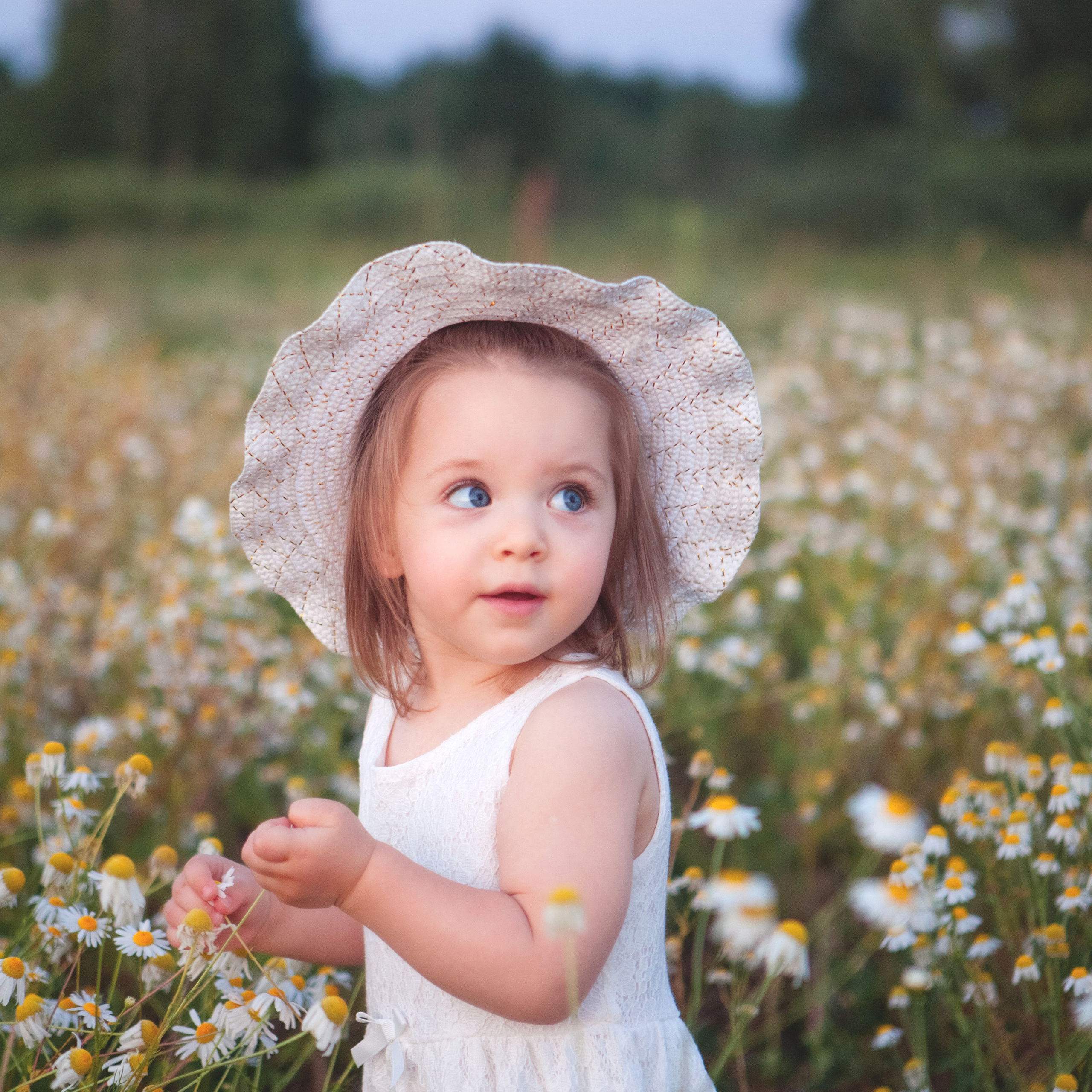 В ромашках. Женский и семейный фотограф в Тюмени Пашнина Ольга