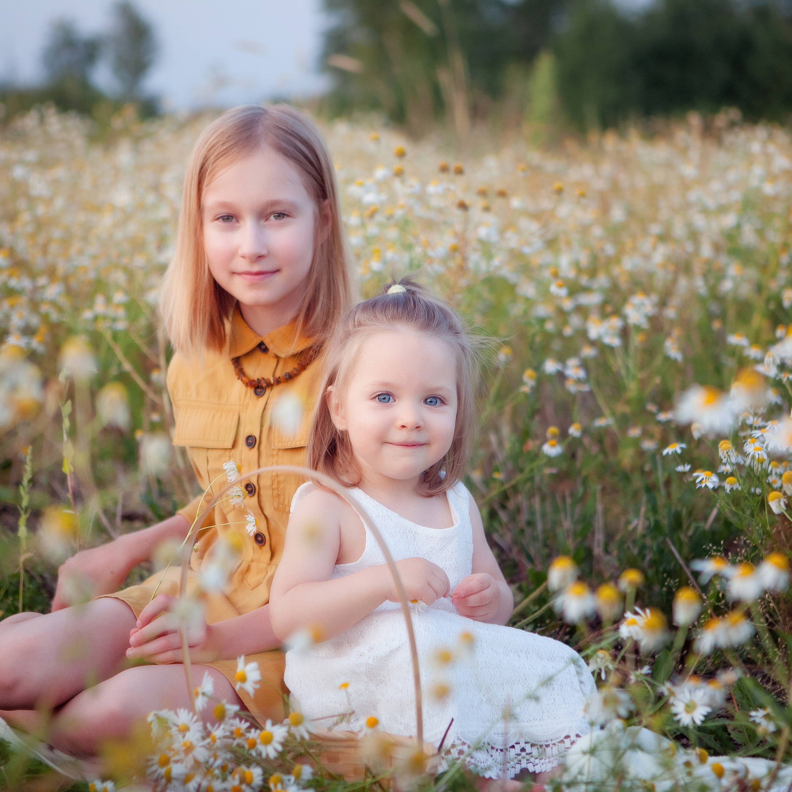 В ромашках. Женский и семейный фотограф в Тюмени Пашнина Ольга