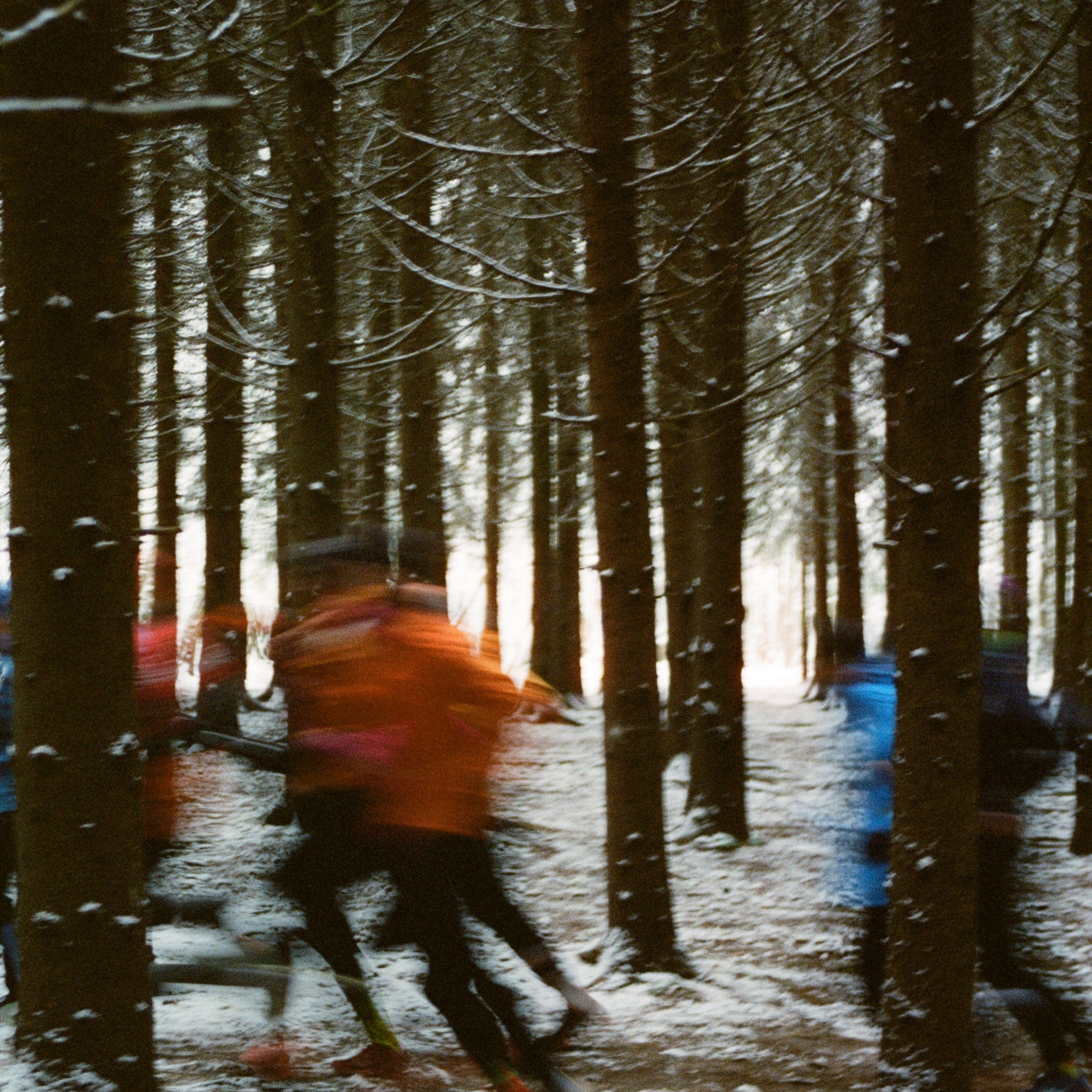 Марафон у Дома | Бутовский лесопарк