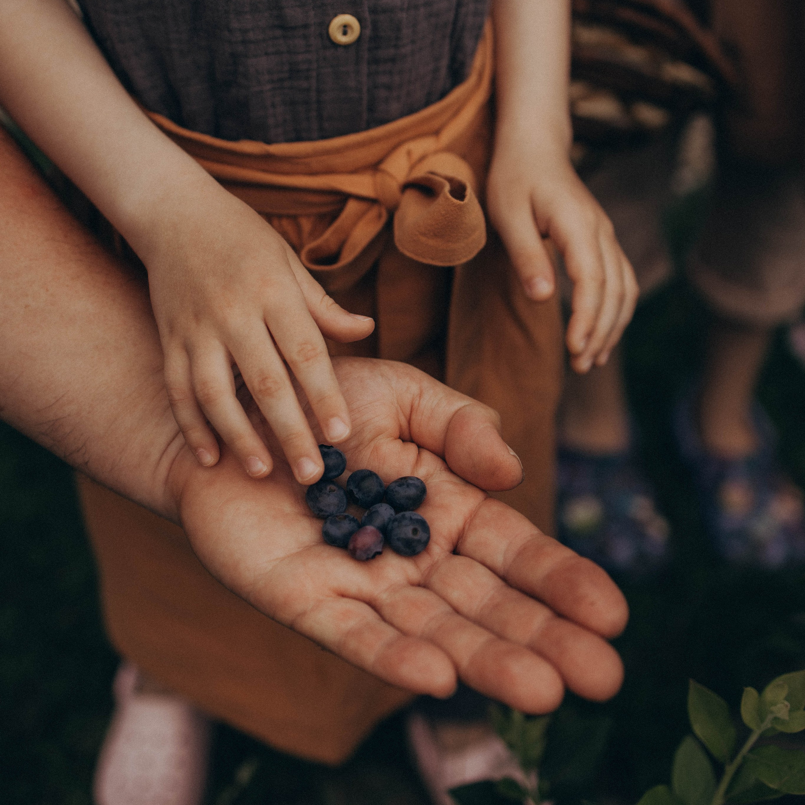 Одним летним днем