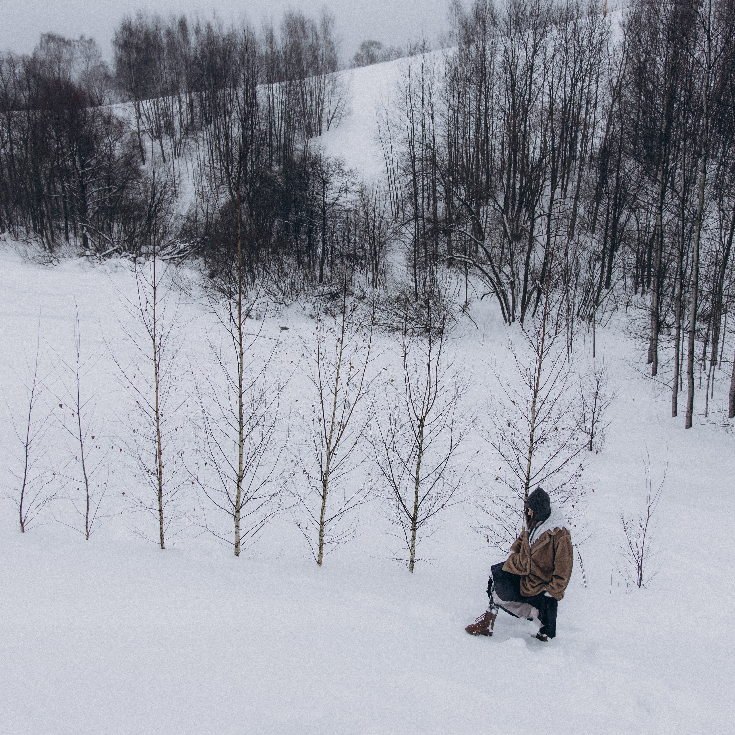 Зимнее очарование
