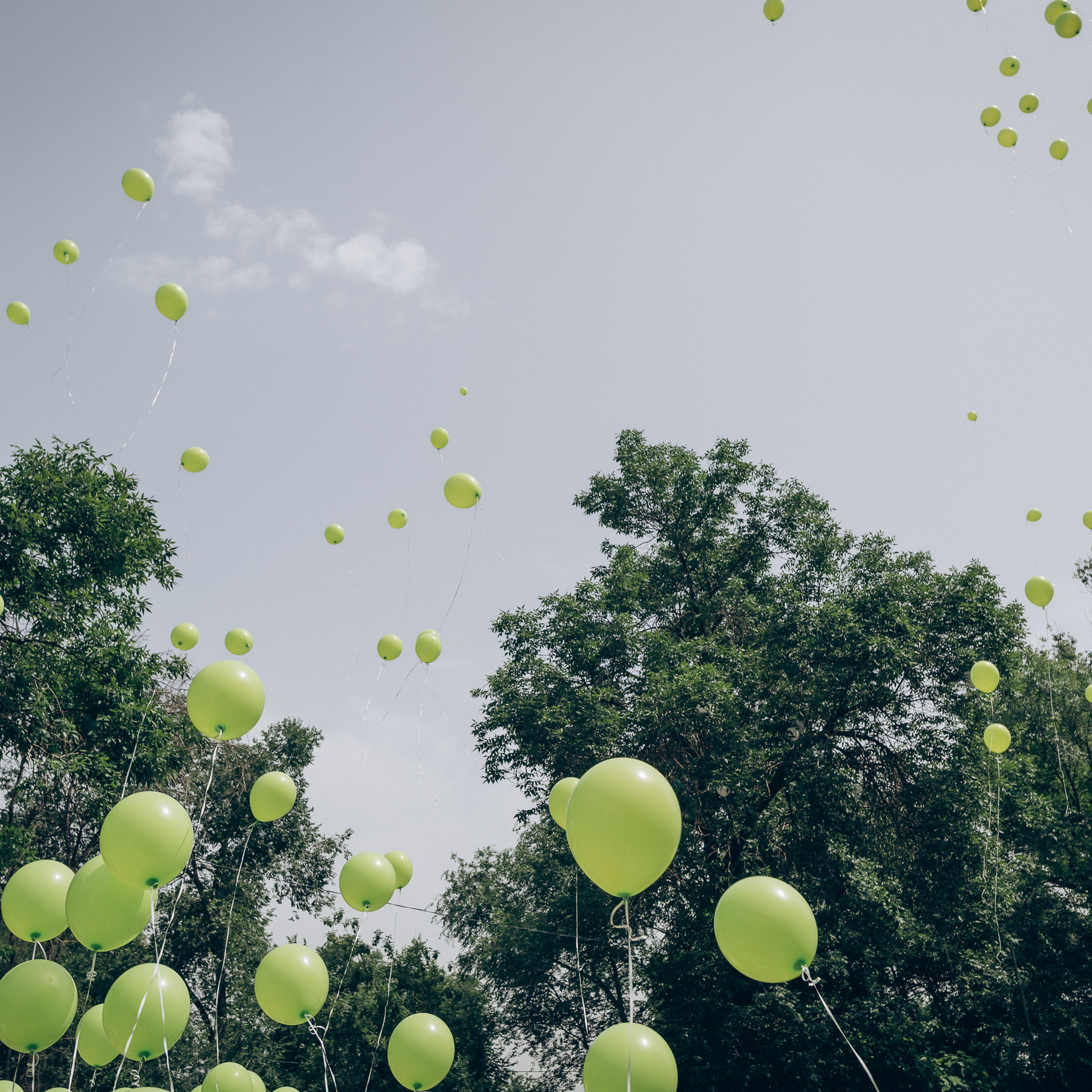 Отзывы. Фотограф в Алматы Чалова Нафиса