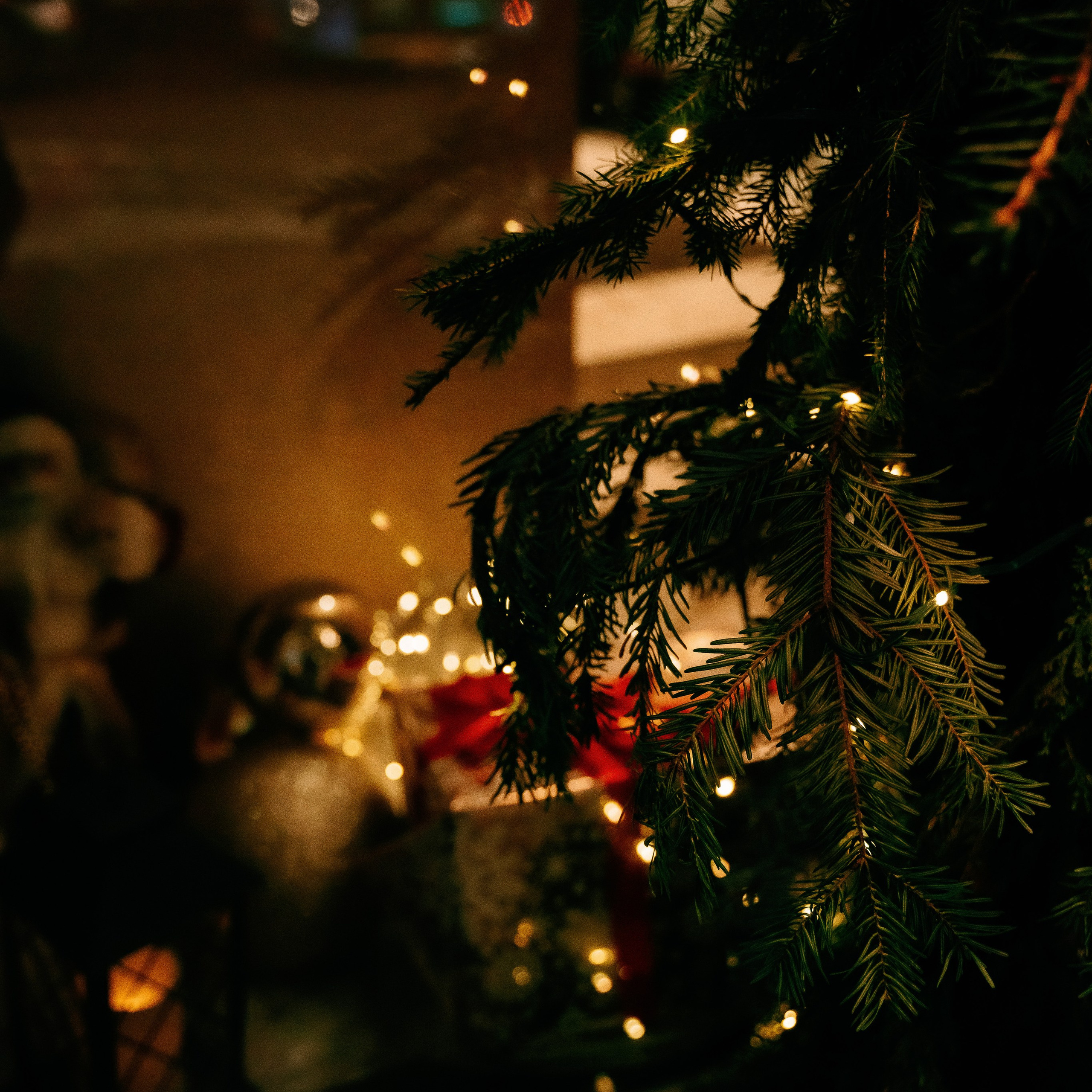 Новогодний корпоратив Alba Apex