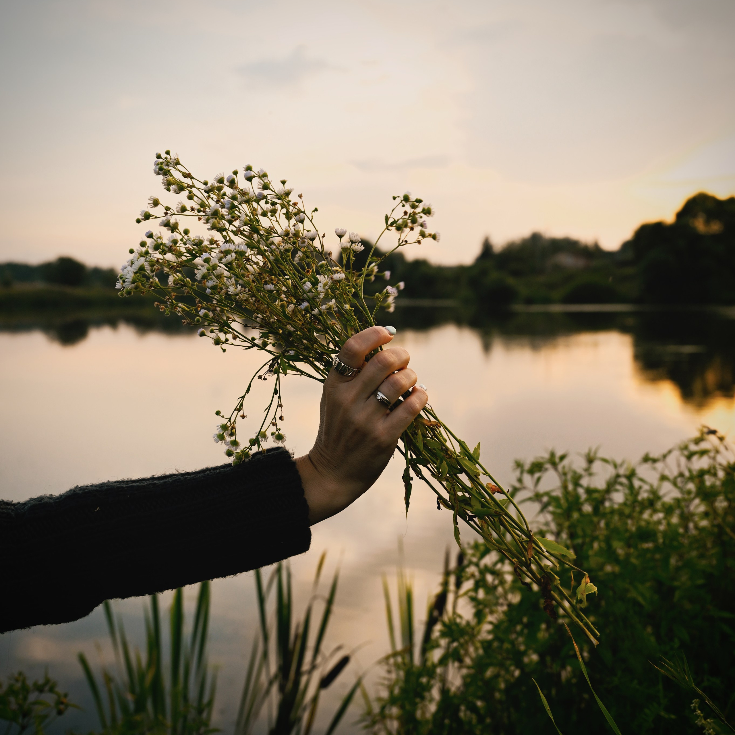 Настя — волшебный вечер на даче. Фотограф в Москве Засека Анастасия