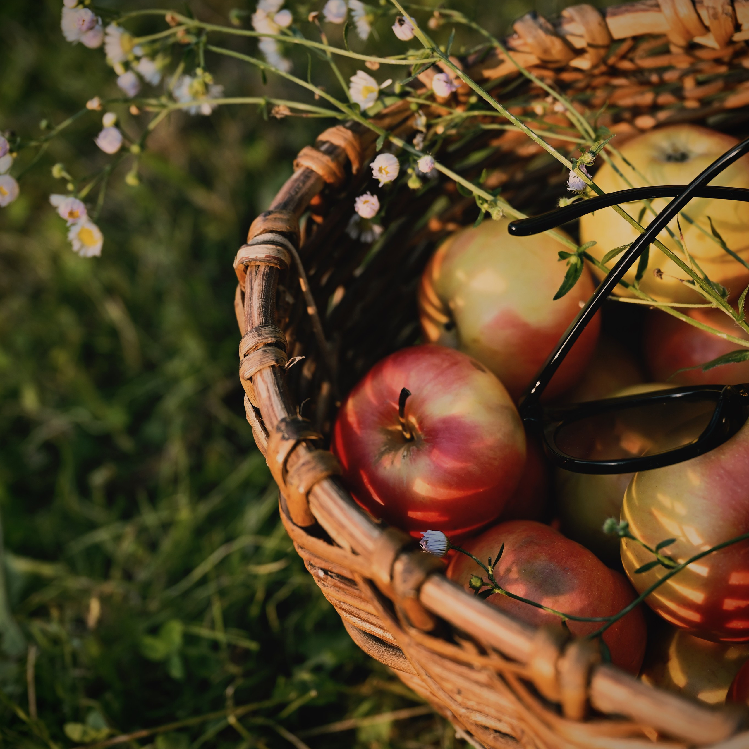 Настя — волшебный вечер на даче. Фотограф в Москве Засека Анастасия