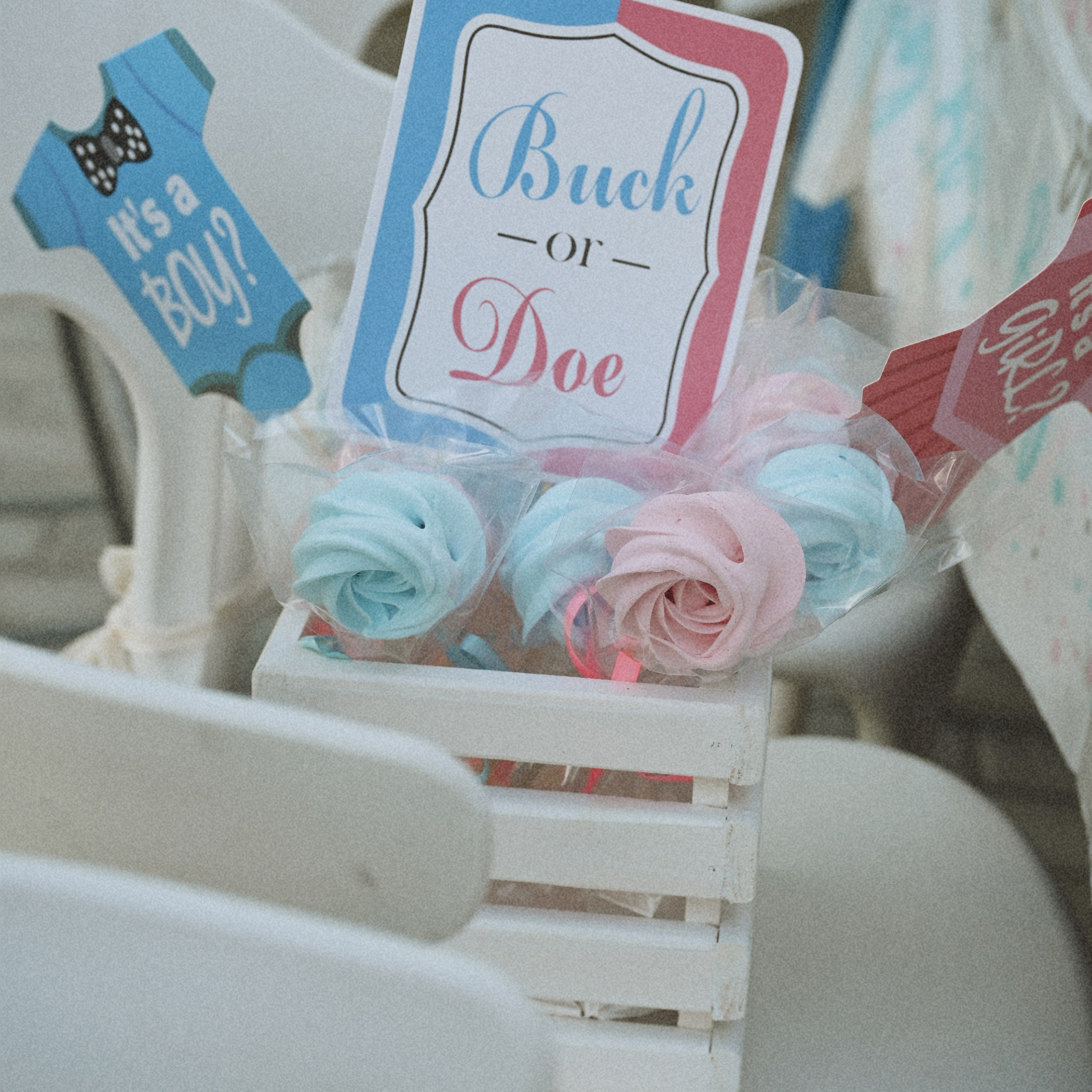 Оля и Кирилл — летняя гендер-пати. Фотограф в Москве Засека Анастасия