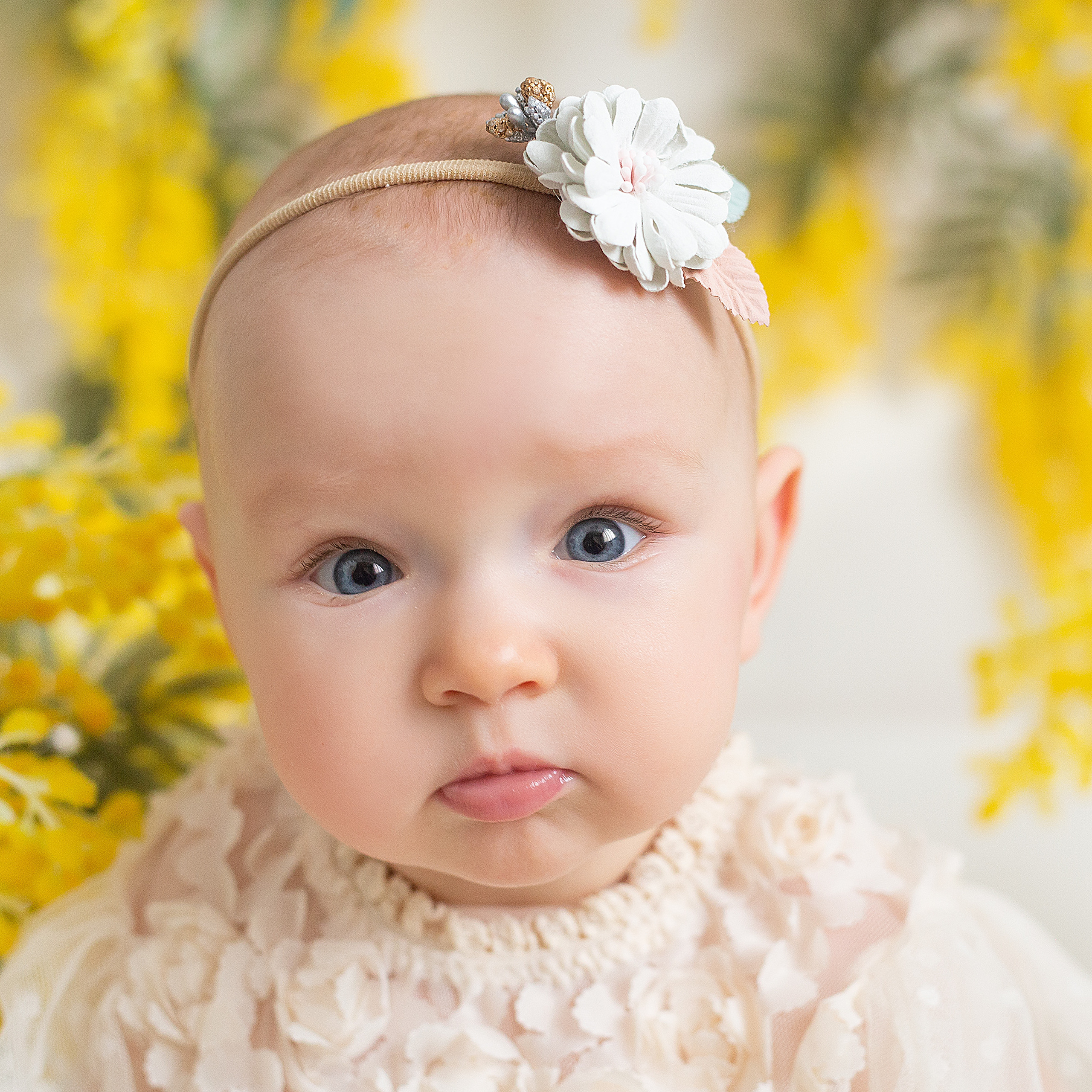 ФОТОПРОЕКТЫ. Фотограф новорожденных анна порфирьева москва московская область