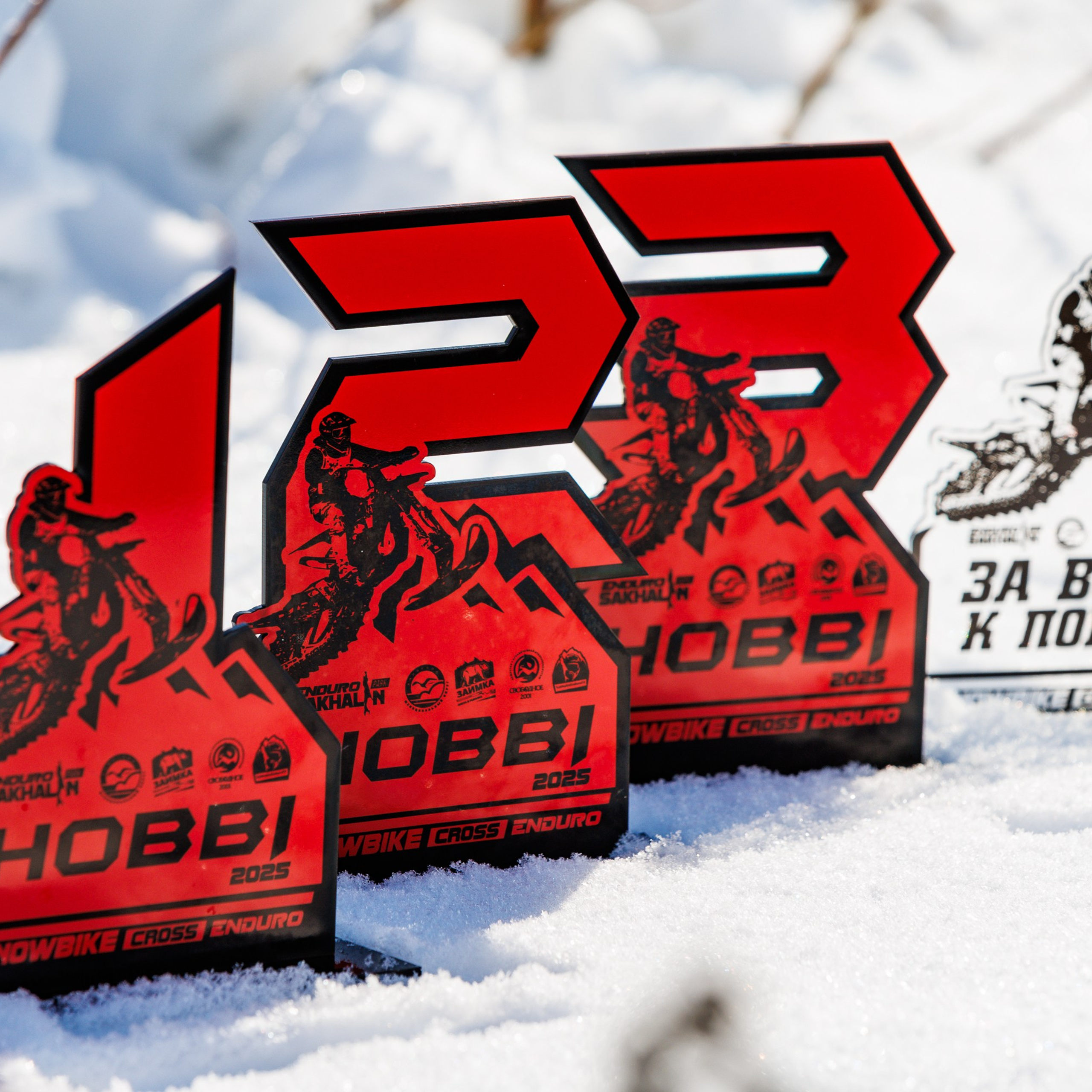 Чемпионат Экстрим Эндуро на сноубайках