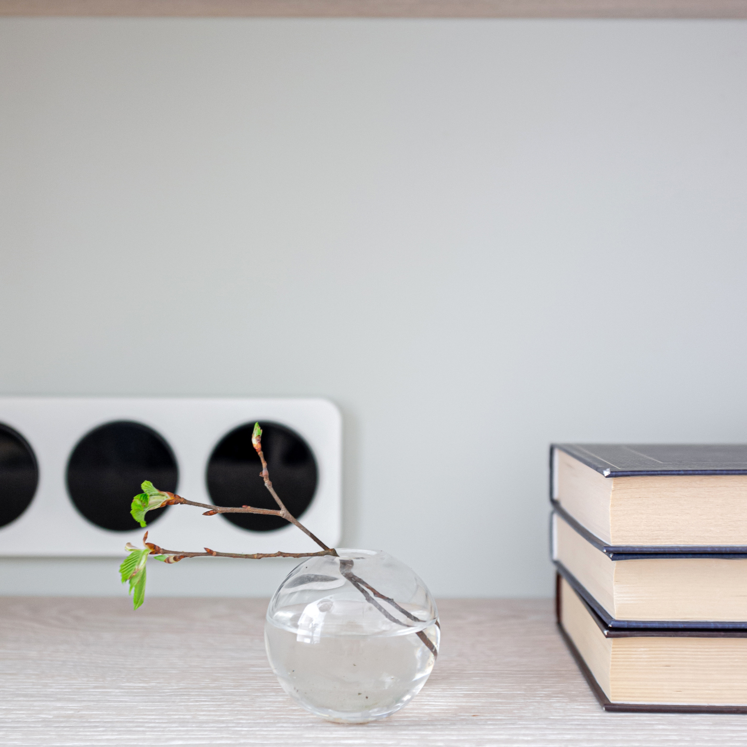 Окна в парк. Квартира 47 м². Мастерская интерьеров Светланы Куксовой. Дизайн и реализация