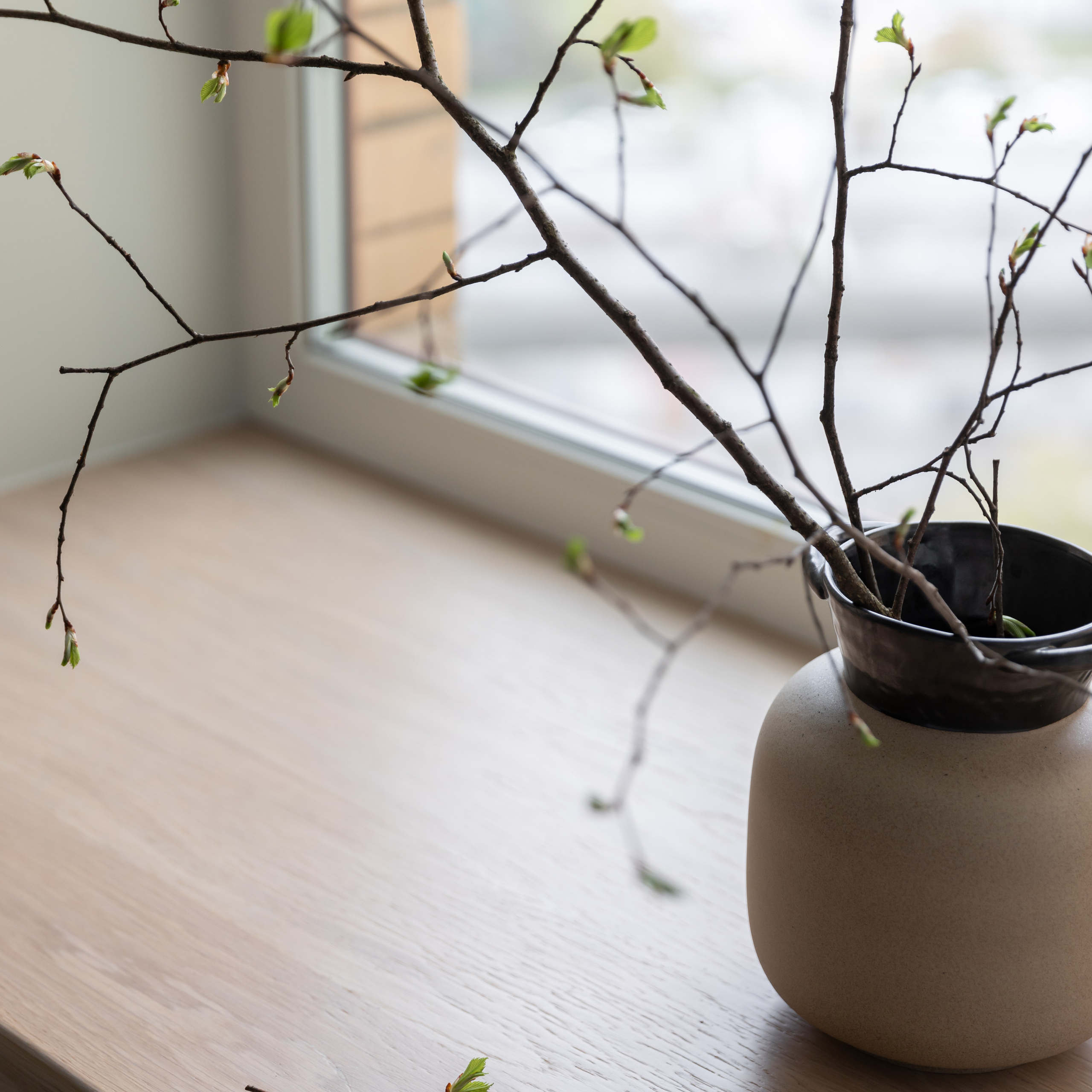 Окна в парк. Квартира 47 м². Мастерская интерьеров Светланы Куксовой. Дизайн и реализация