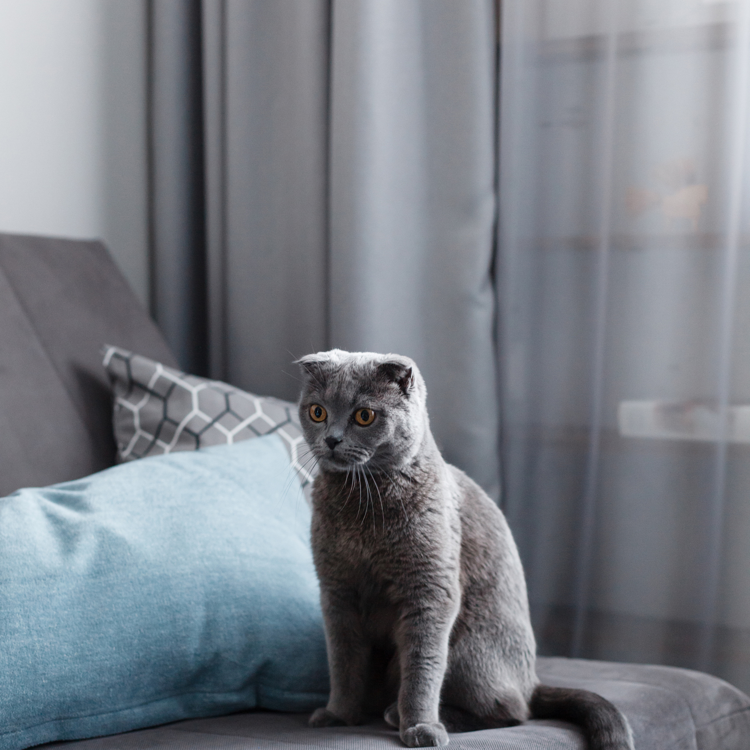 Лисья нора. Квартира-студия 28 м². Мастерская интерьеров Светланы Куксовой. Дизайн и реализация