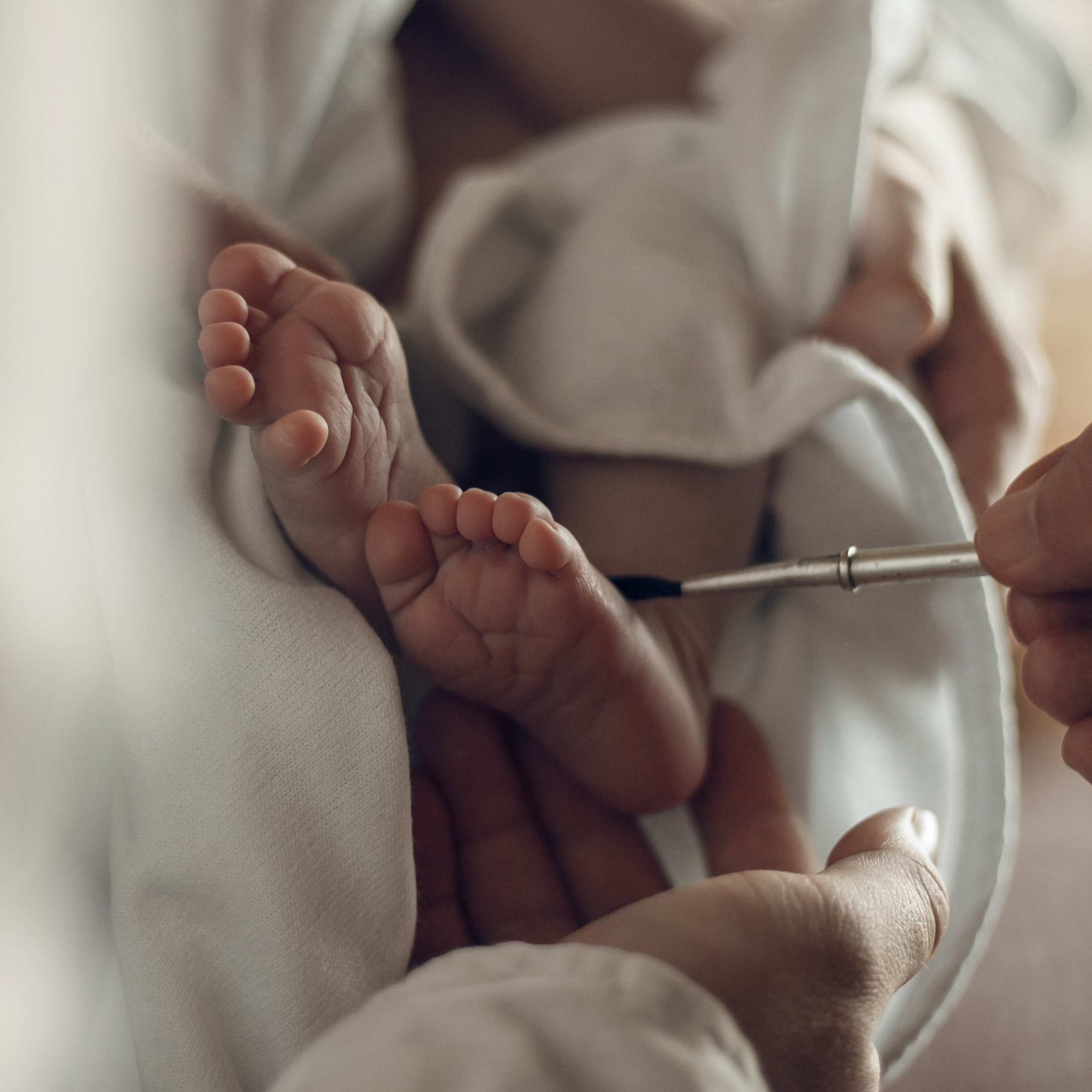 Смоленский собор