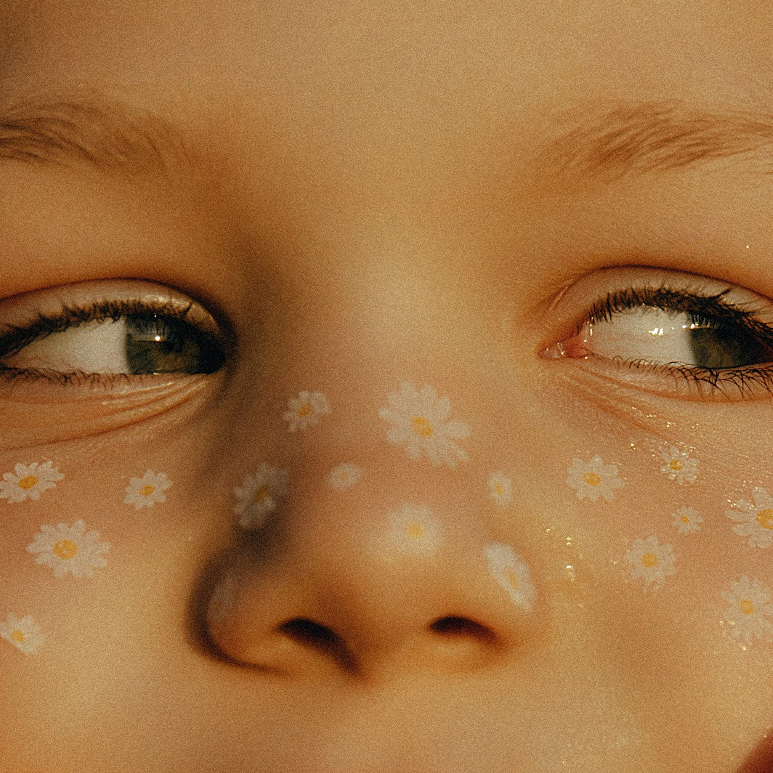 ромашковая история