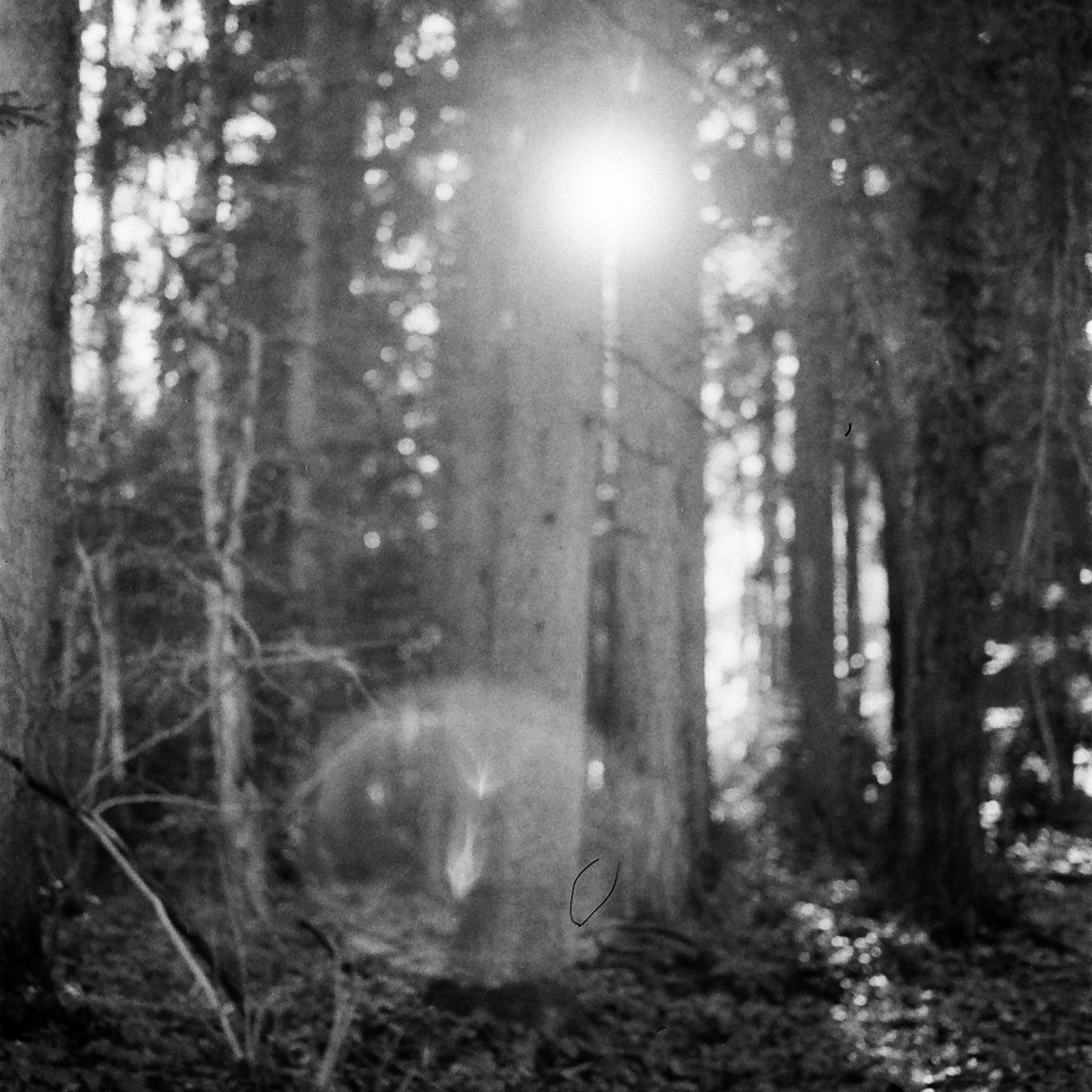 Film. Anastasia Shapoval violoniste et photographe. Annecy — Geneve