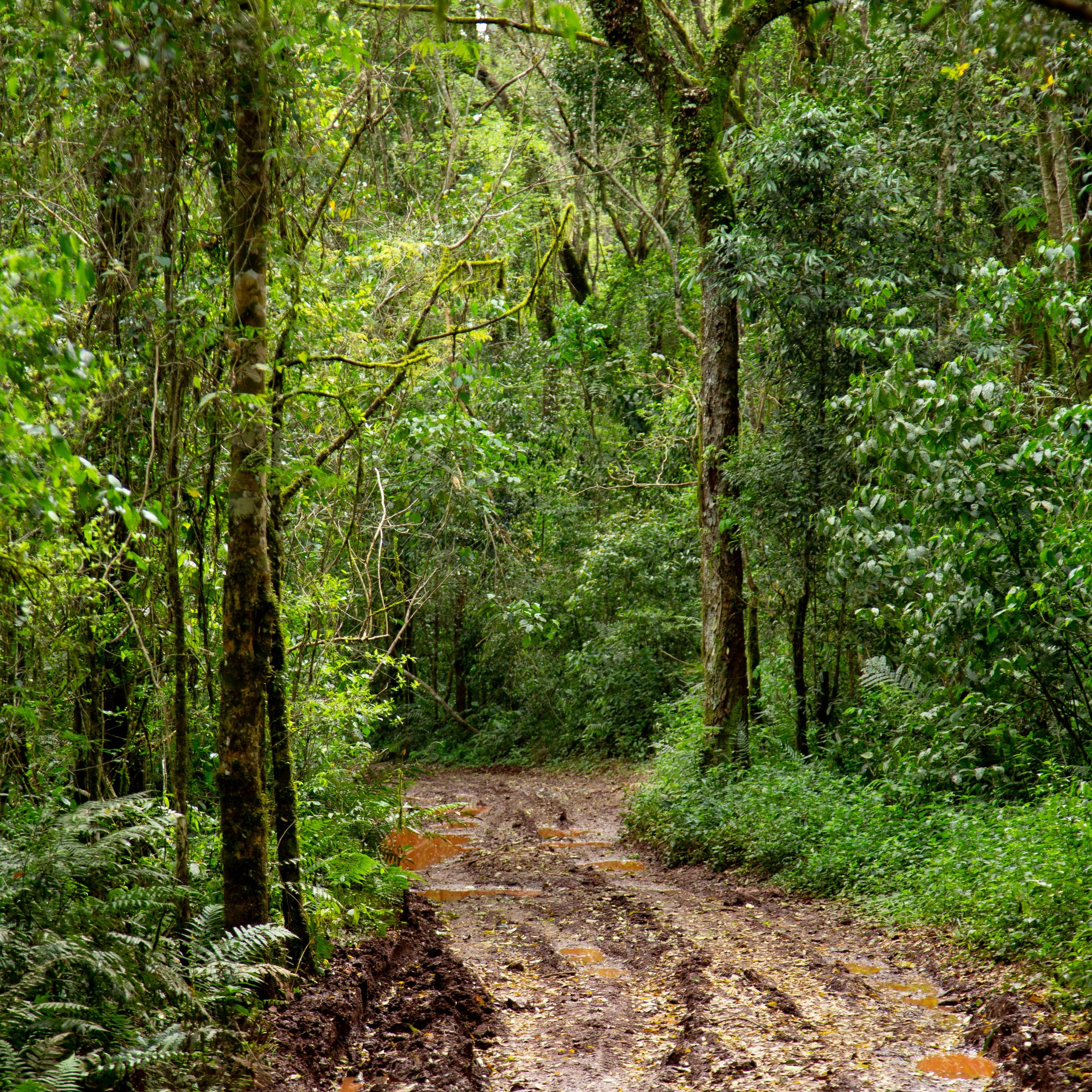 Argentina-Buenos Aires. La Boca. Iguasu. September 2018. Anastasia Shapoval violoniste et photographe. Annecy — Geneve