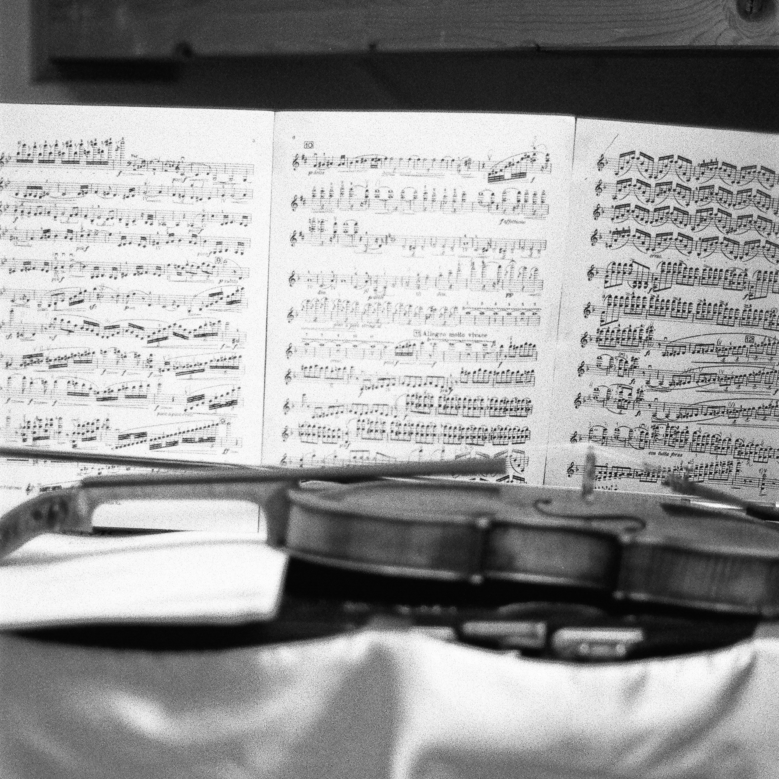 Film. Anastasia Shapoval violoniste et photographe. Annecy — Geneve