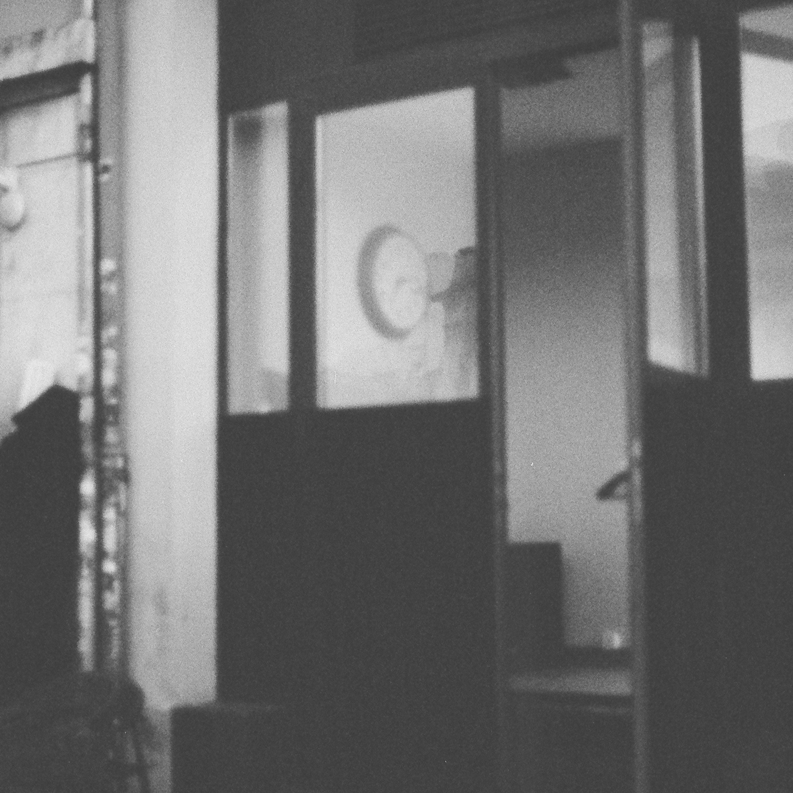 Film. Anastasia Shapoval violoniste et photographe. Annecy — Geneve