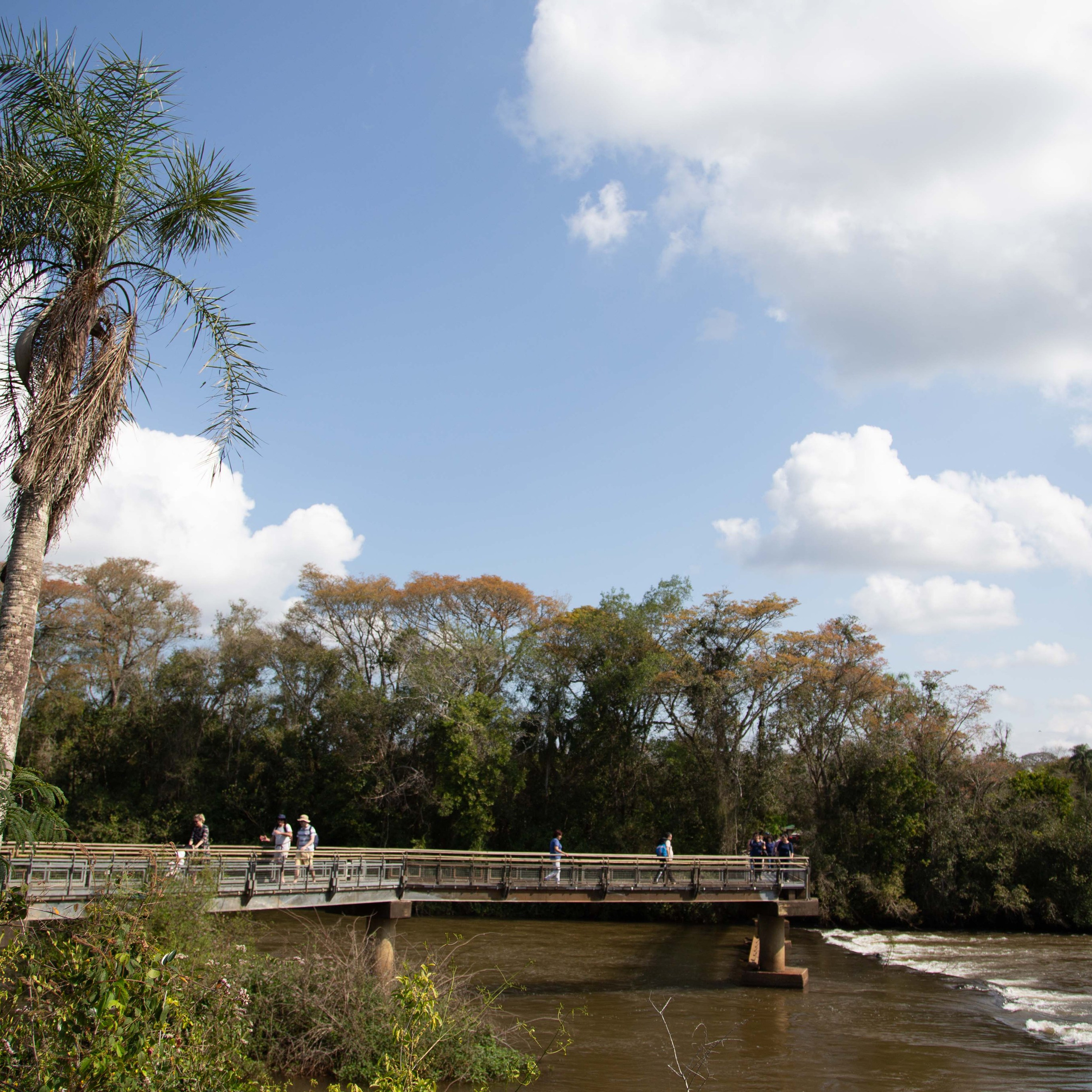 Argentina-Buenos Aires. La Boca. Iguasu. September 2018. Anastasia Shapoval violoniste et photographe. Annecy — Geneve