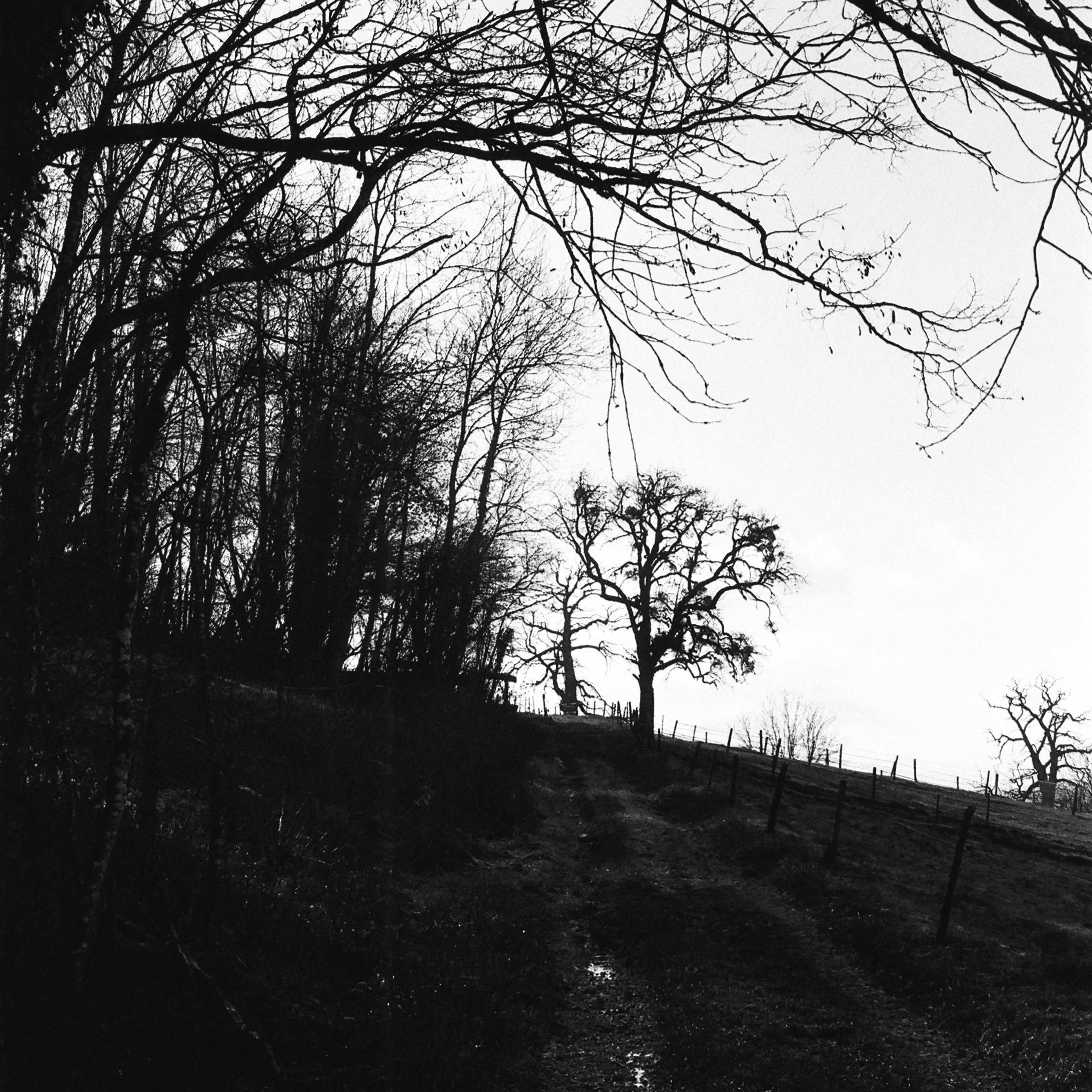 Film. Anastasia Shapoval violoniste et photographe. Annecy — Geneve