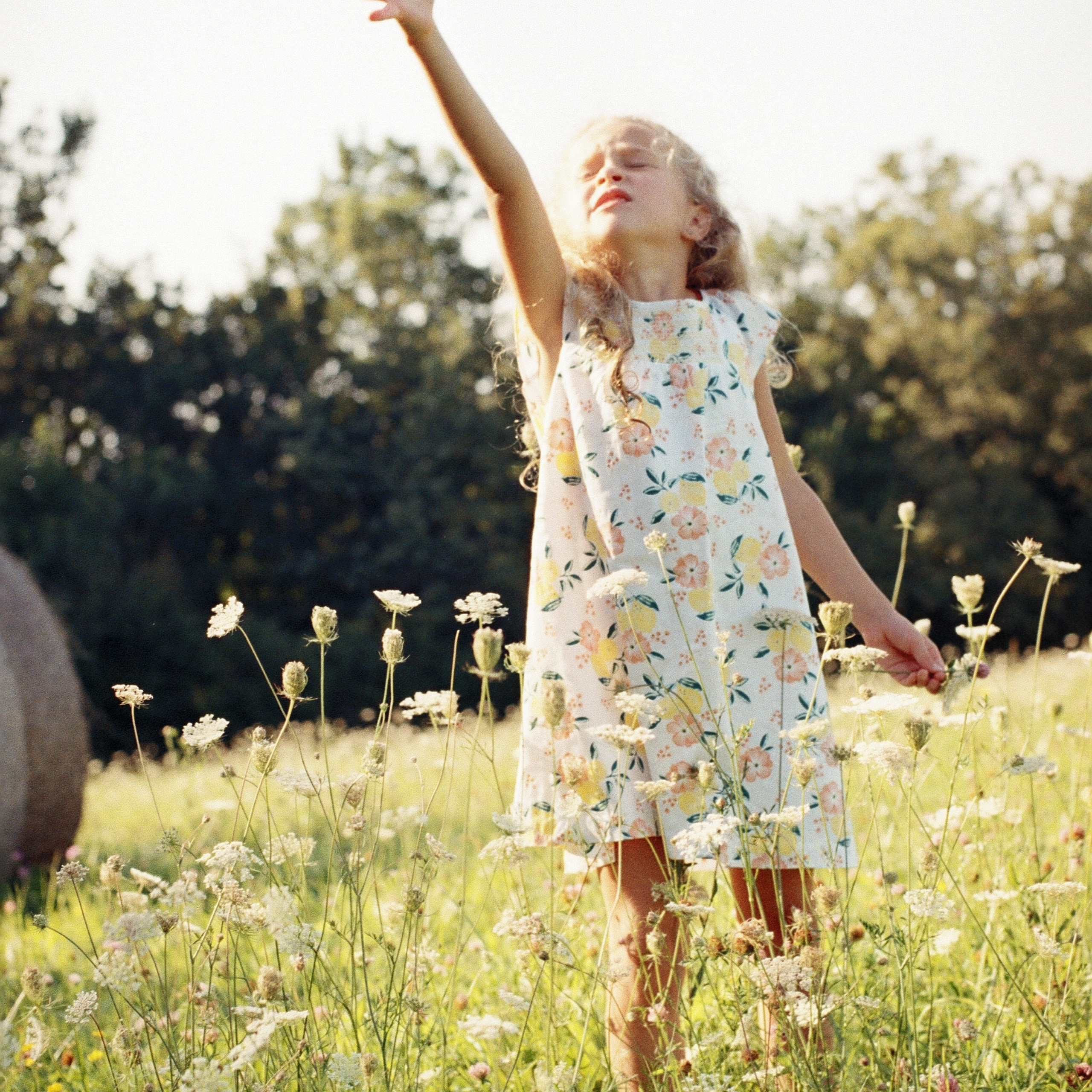 Film. Anastasia Shapoval violoniste et photographe. Annecy — Geneve
