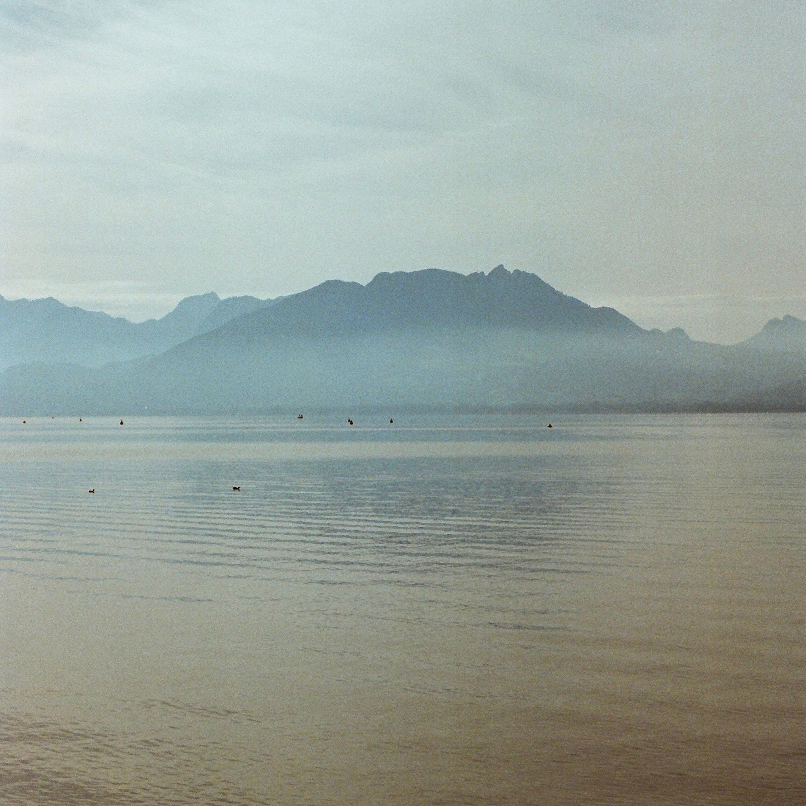 Film. Anastasia Shapoval violoniste et photographe. Annecy — Geneve