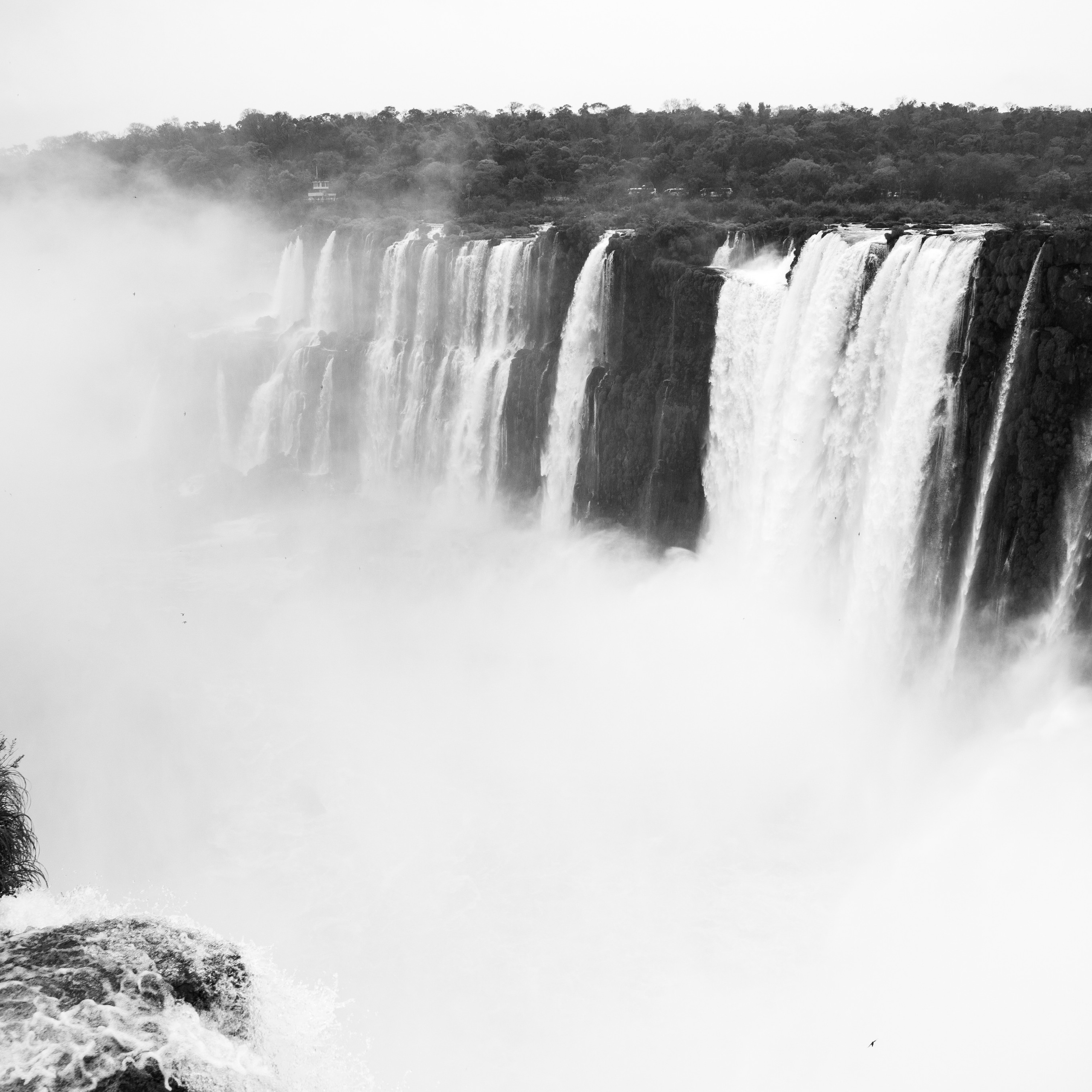 Argentina-Buenos Aires. La Boca. Iguasu. September 2018. Anastasia Shapoval violoniste et photographe. Annecy — Geneve