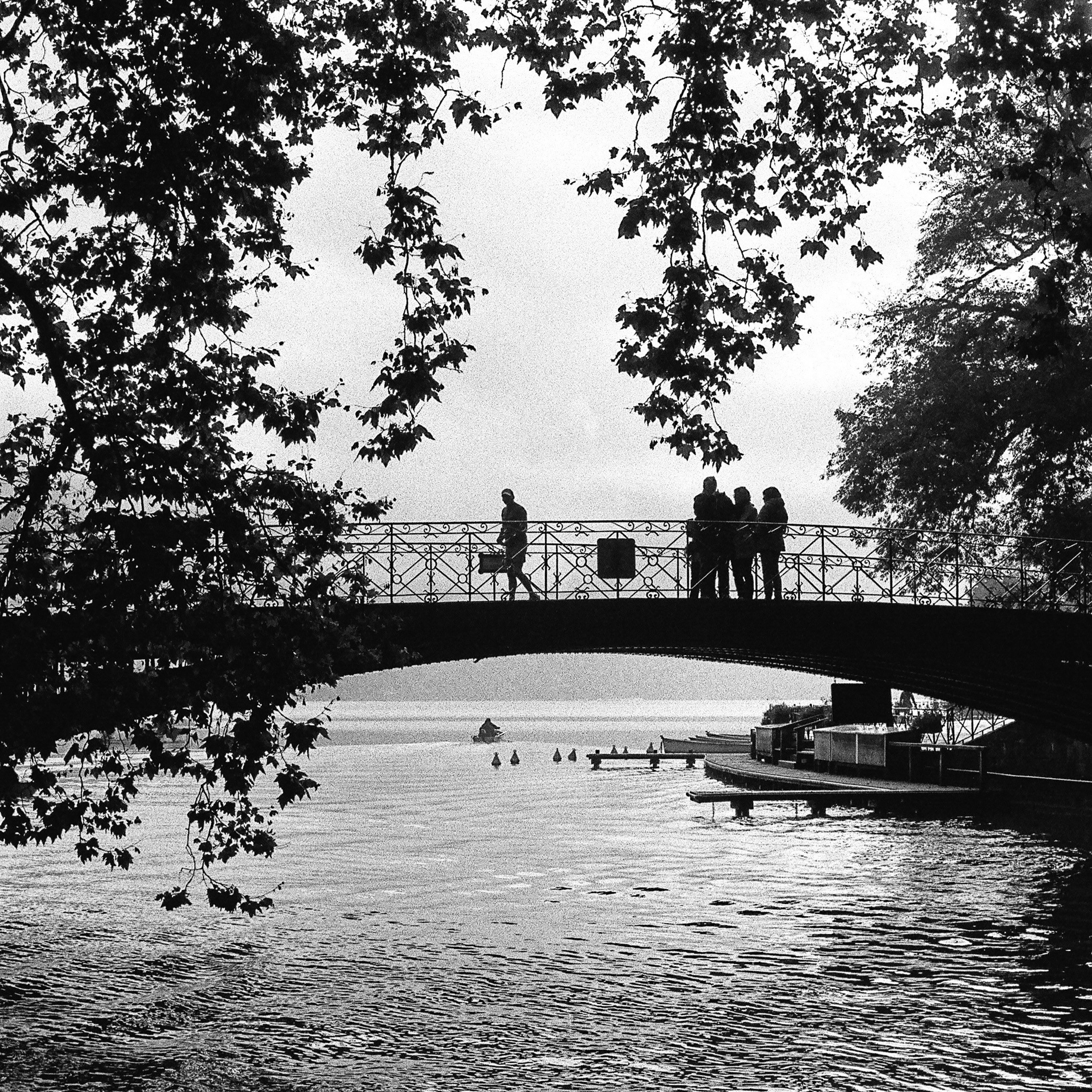 Film. Anastasia Shapoval violoniste et photographe. Annecy — Geneve
