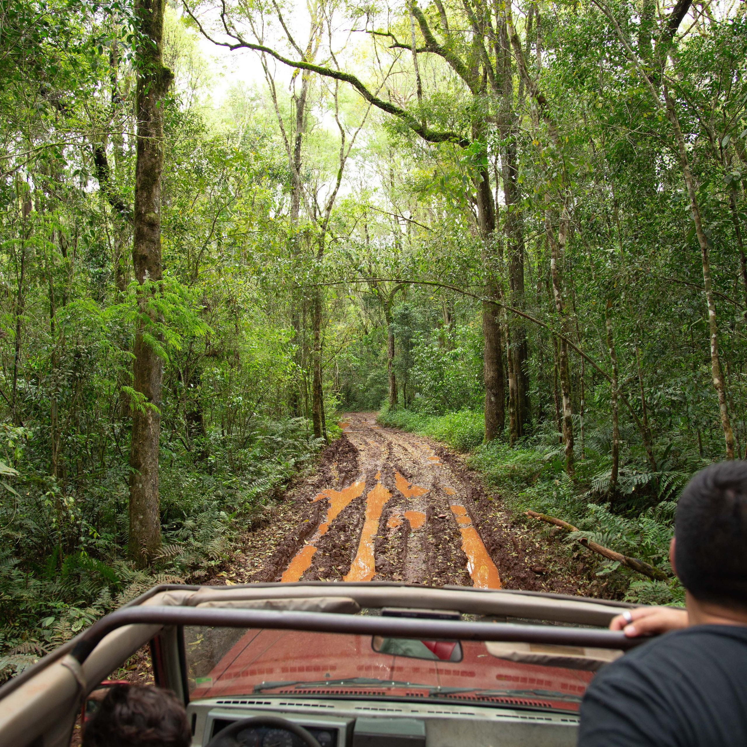 Argentina-Buenos Aires. La Boca. Iguasu. September 2018. Anastasia Shapoval violoniste et photographe. Annecy — Geneve