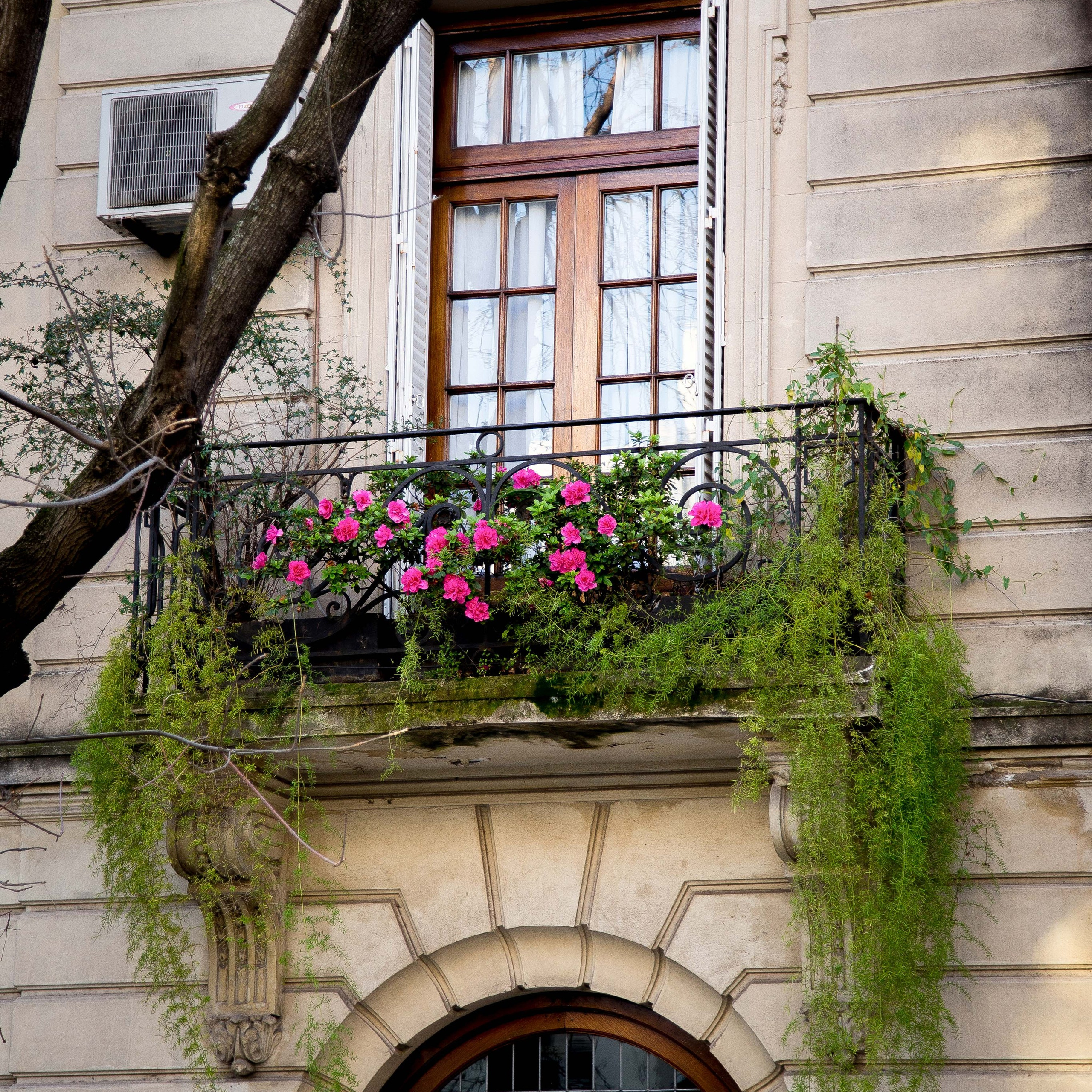 Argentina-Buenos Aires. La Boca. Iguasu. September 2018. Anastasia Shapoval violoniste et photographe. Annecy — Geneve