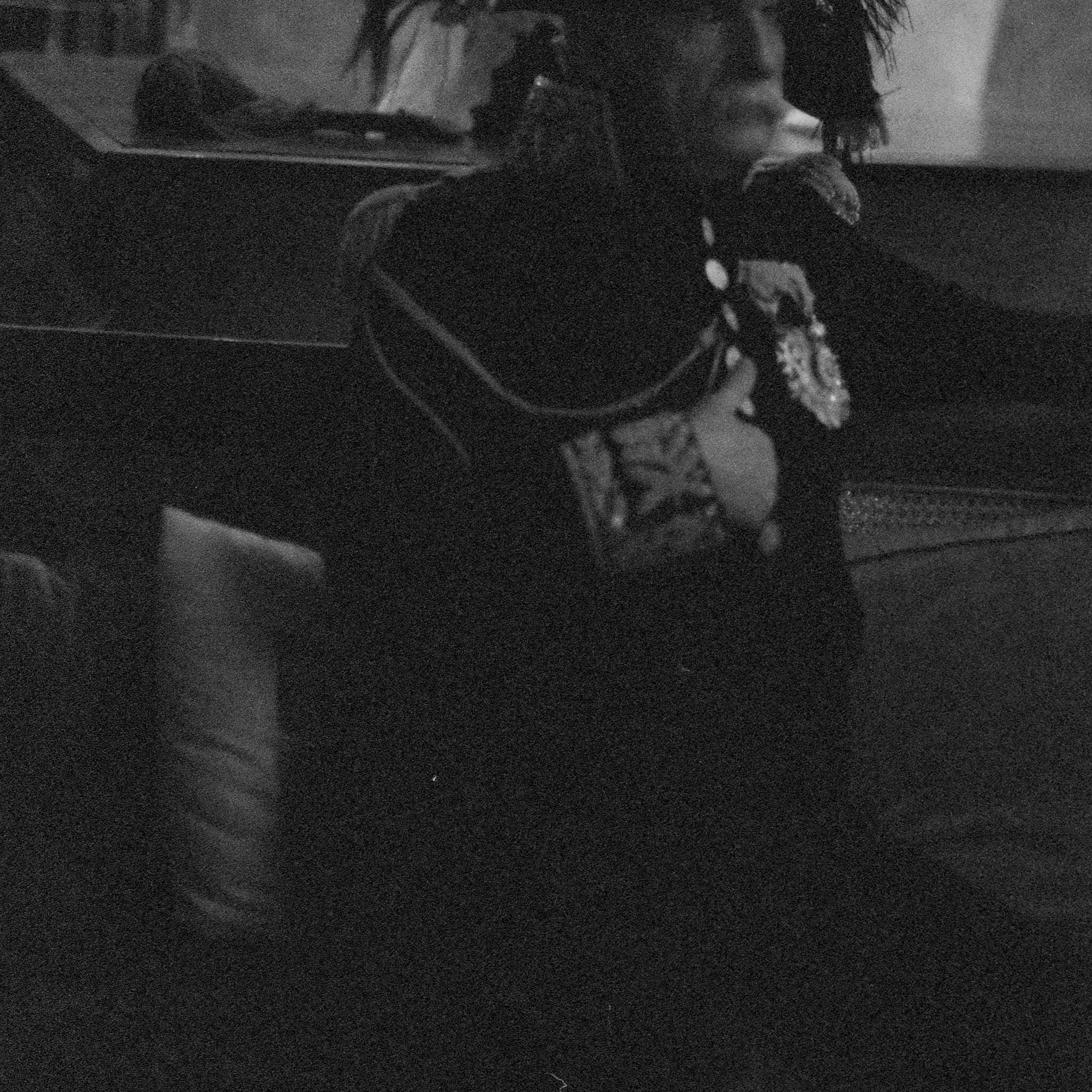 Jean- Luc. History of Napoleon. Anastasia Shapoval violoniste et photographe. Annecy — Geneve