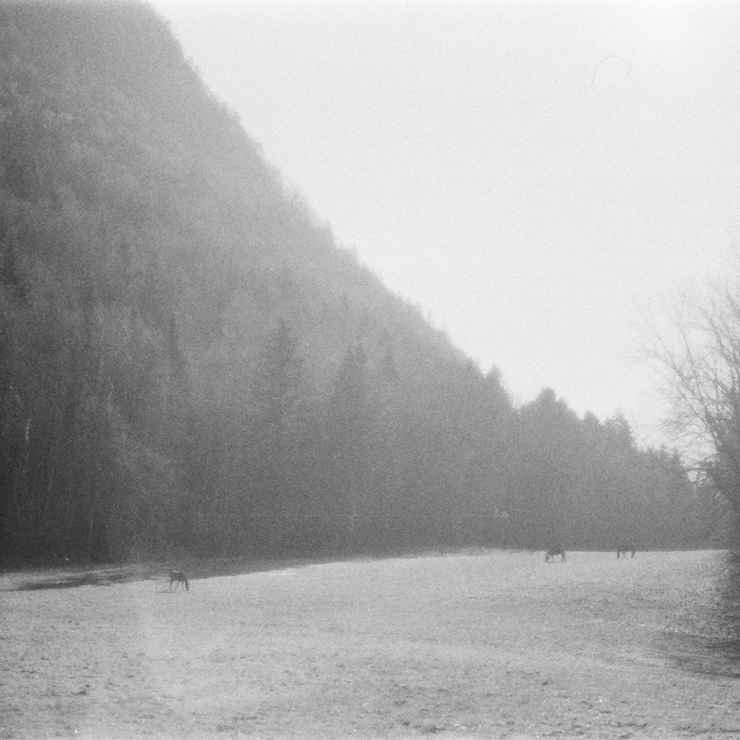 Film. Anastasia Shapoval violoniste et photographe. Annecy — Geneve