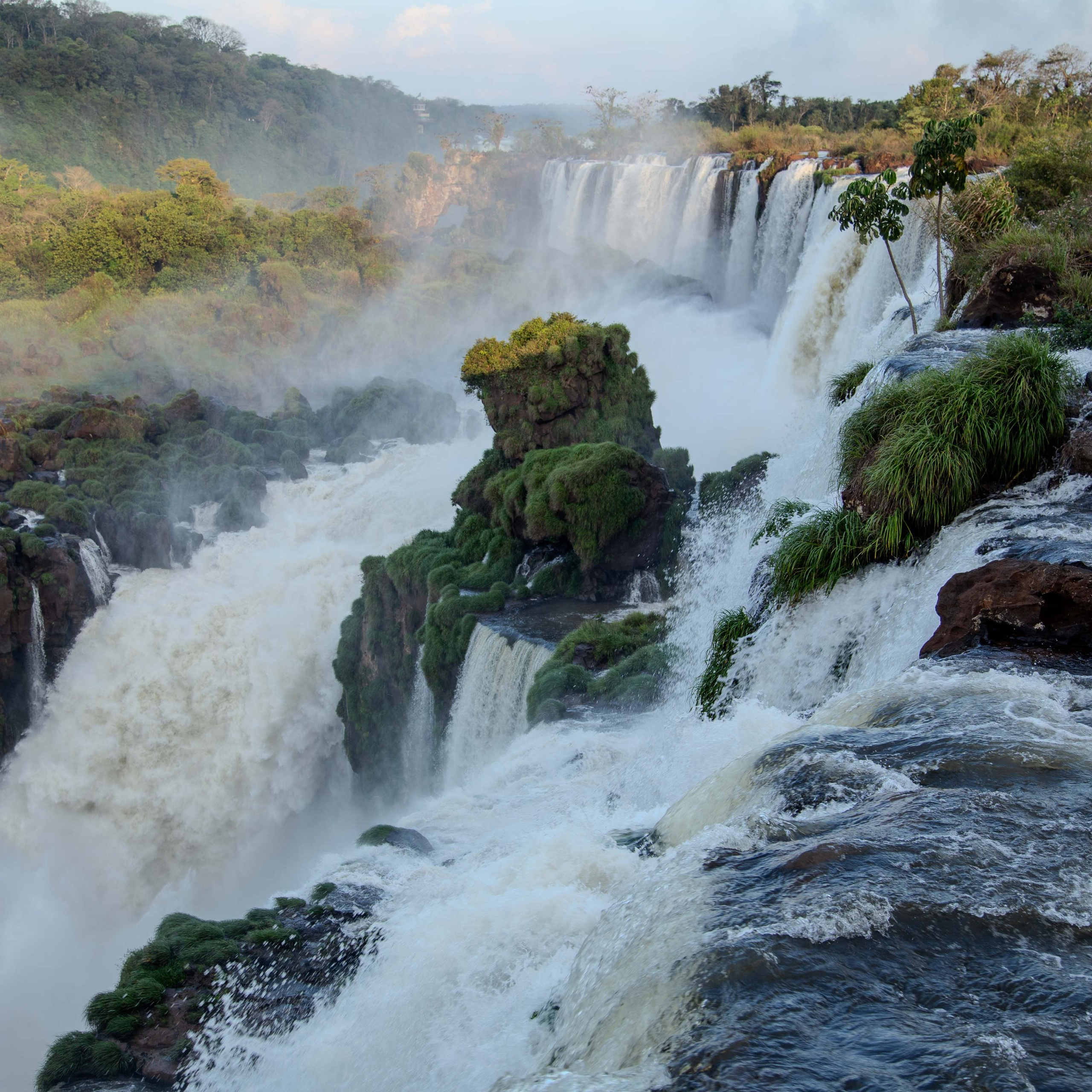 Argentina-Buenos Aires. La Boca. Iguasu. September 2018. Anastasia Shapoval violoniste et photographe. Annecy — Geneve