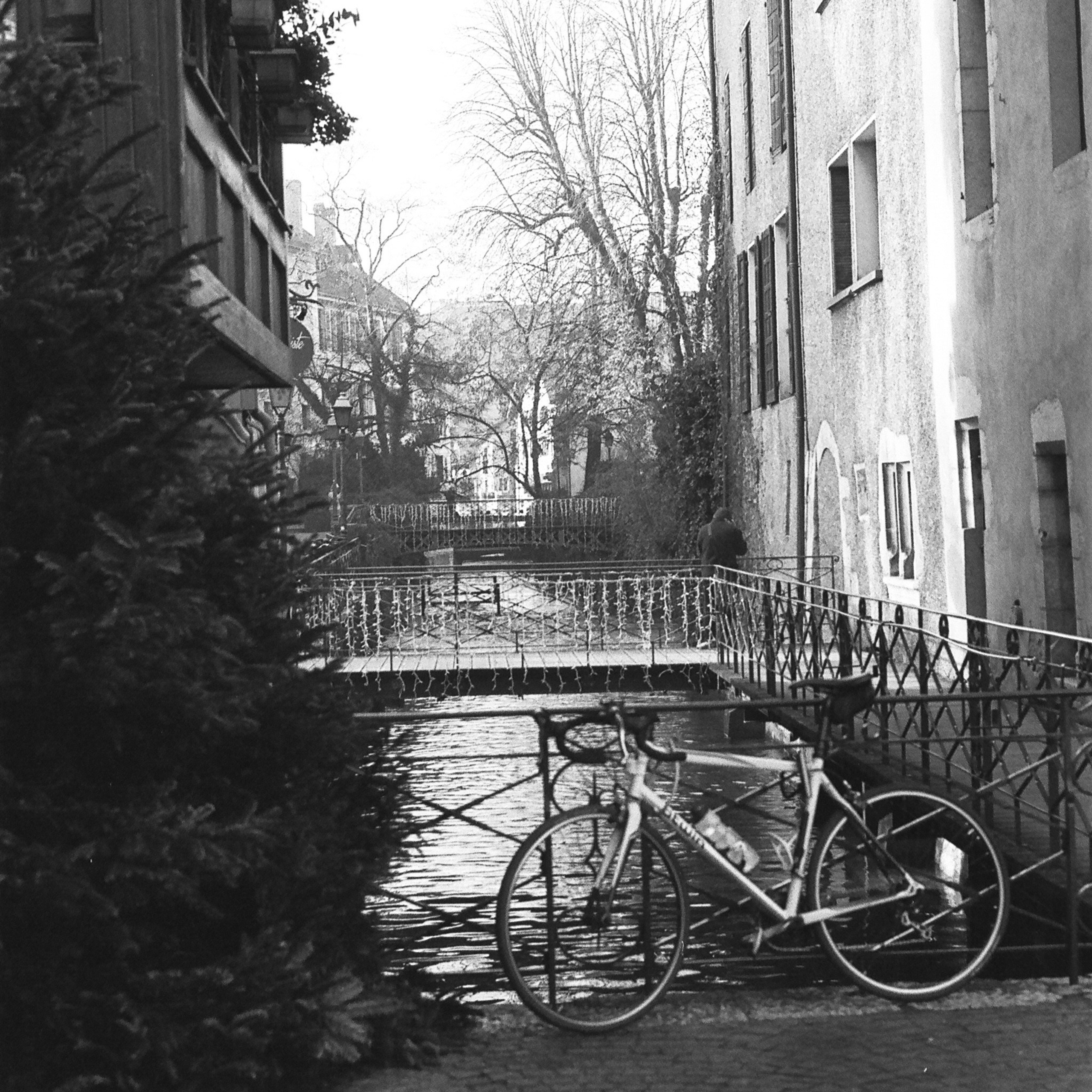 Film. Anastasia Shapoval violoniste et photographe. Annecy — Geneve