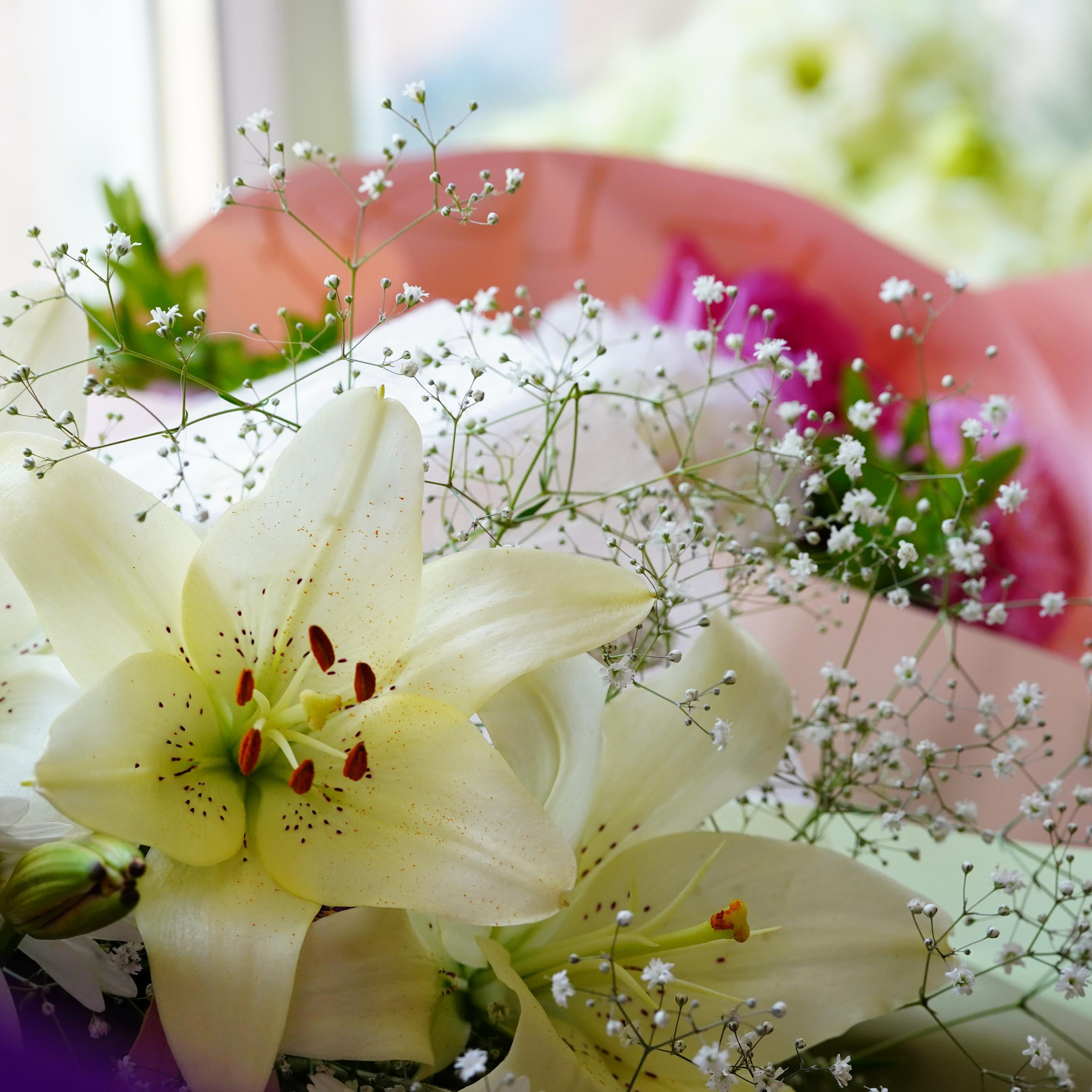 Отзывы. MEMENTO.Выпускные альбомы, школьные, юбилейные и другие книги. Ростов-на-Дону