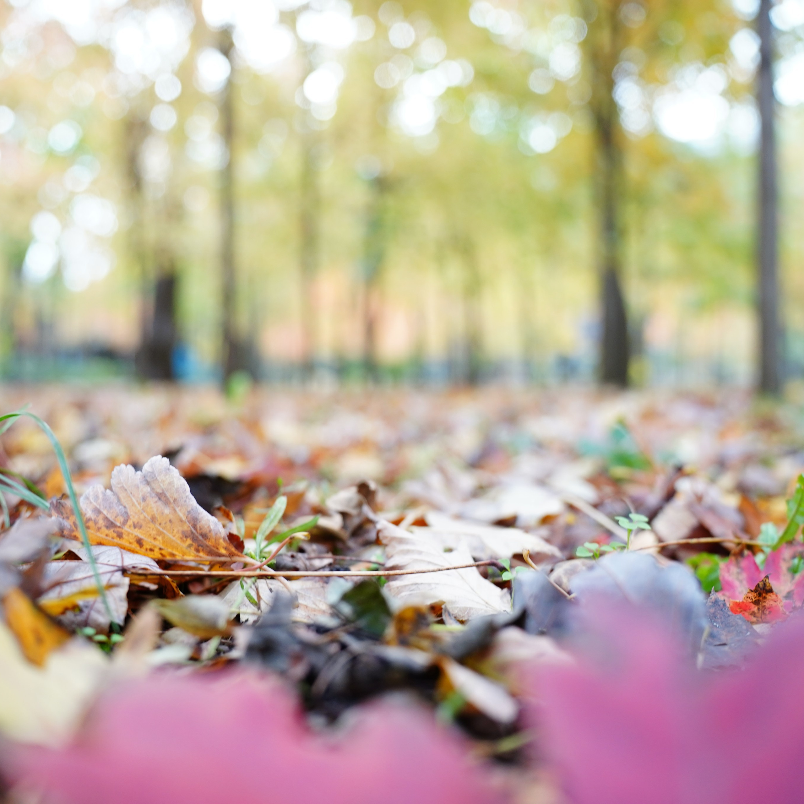 Отзывы. MEMENTO.Выпускные альбомы, школьные, юбилейные и другие книги. Ростов-на-Дону