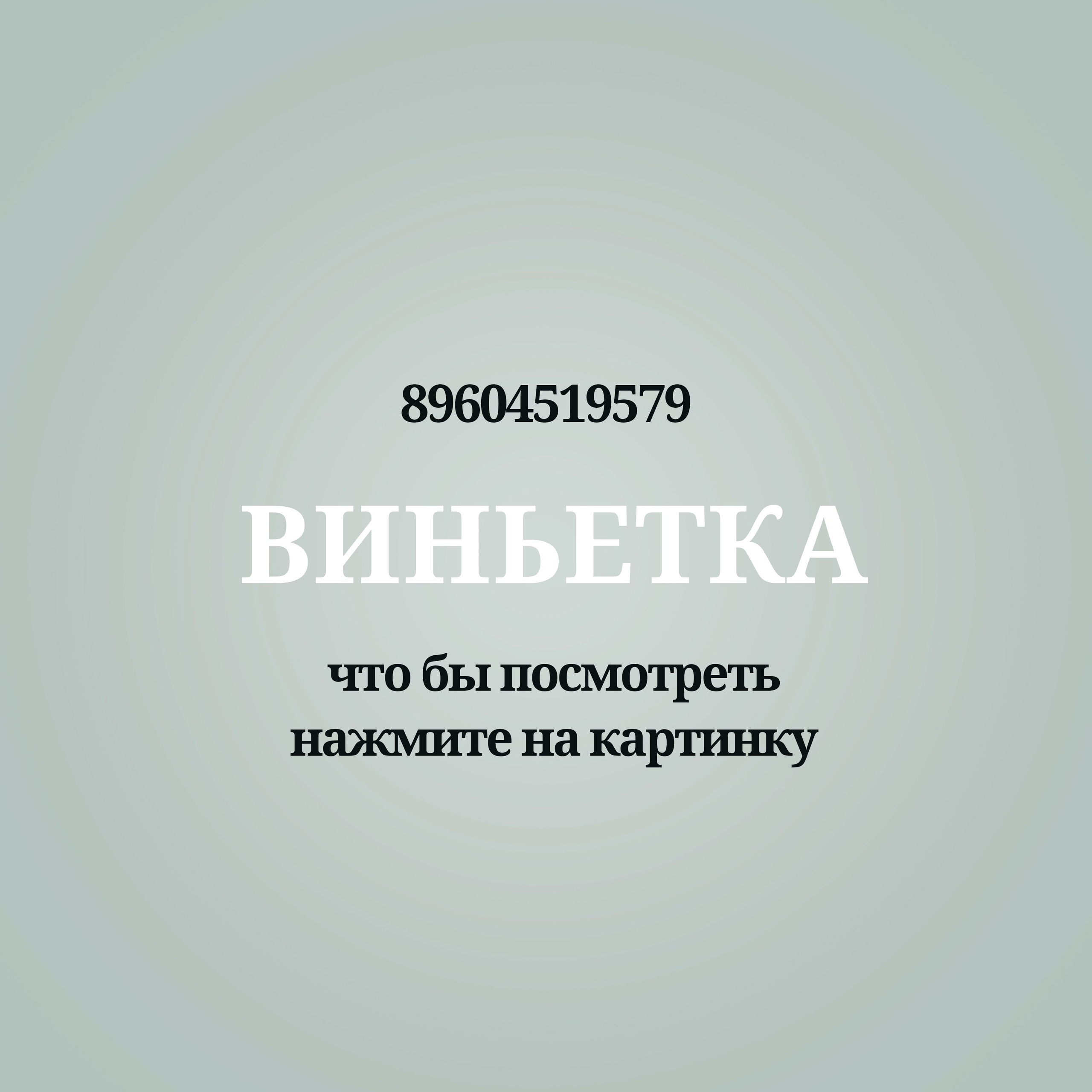 9-11 кл Виньетки