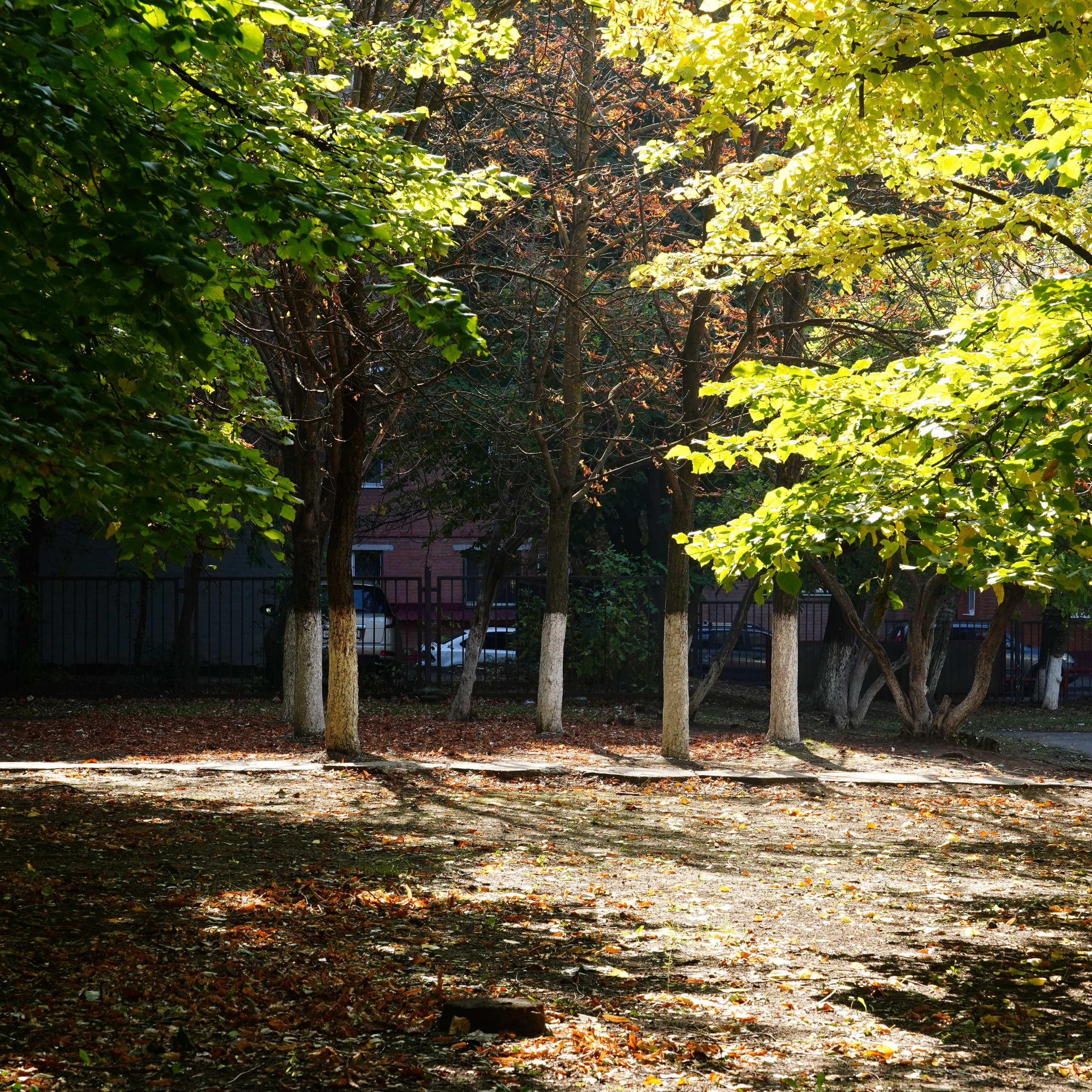 Отзывы. MEMENTO.Выпускные альбомы, школьные, юбилейные и другие книги. Ростов-на-Дону